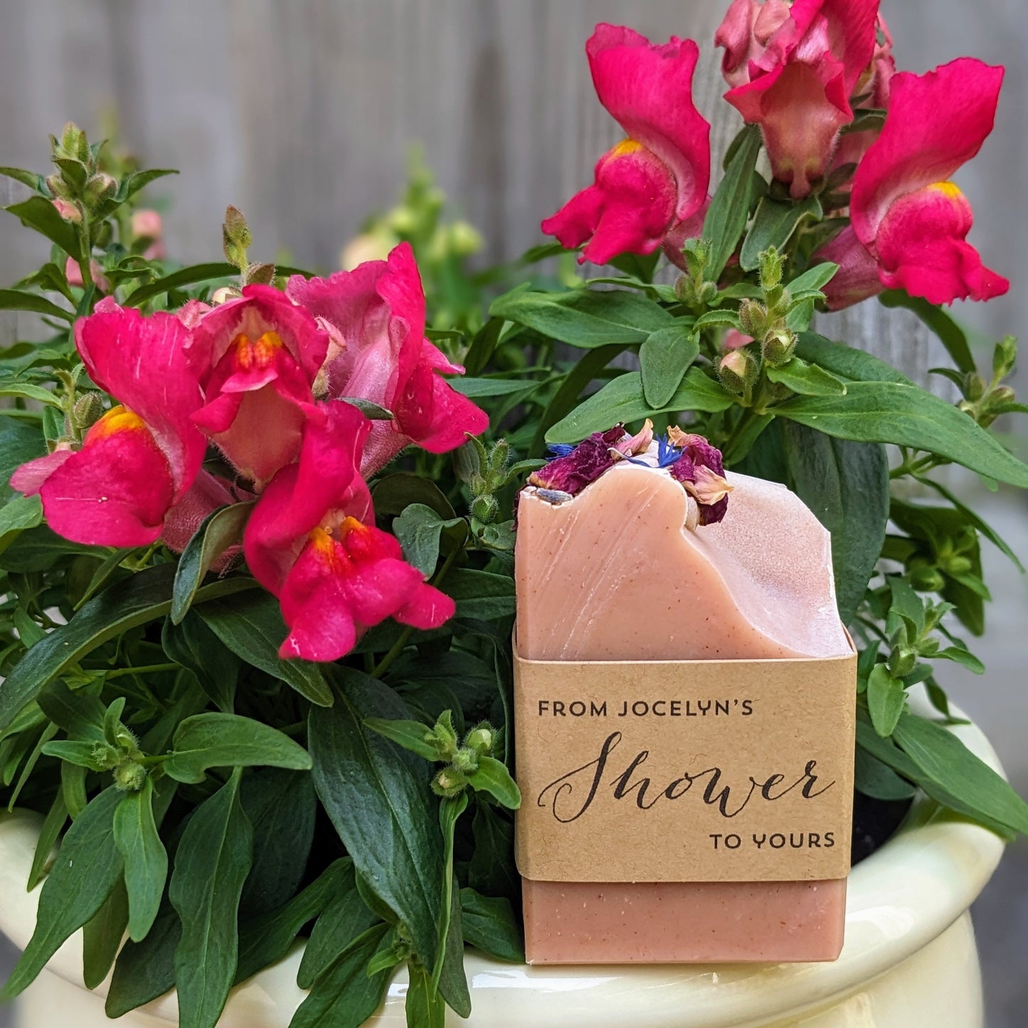 Soap Favors | Set of 20 Half Bar (2 oz) Soaps for Weddings, Showers, or Airbnb Guests