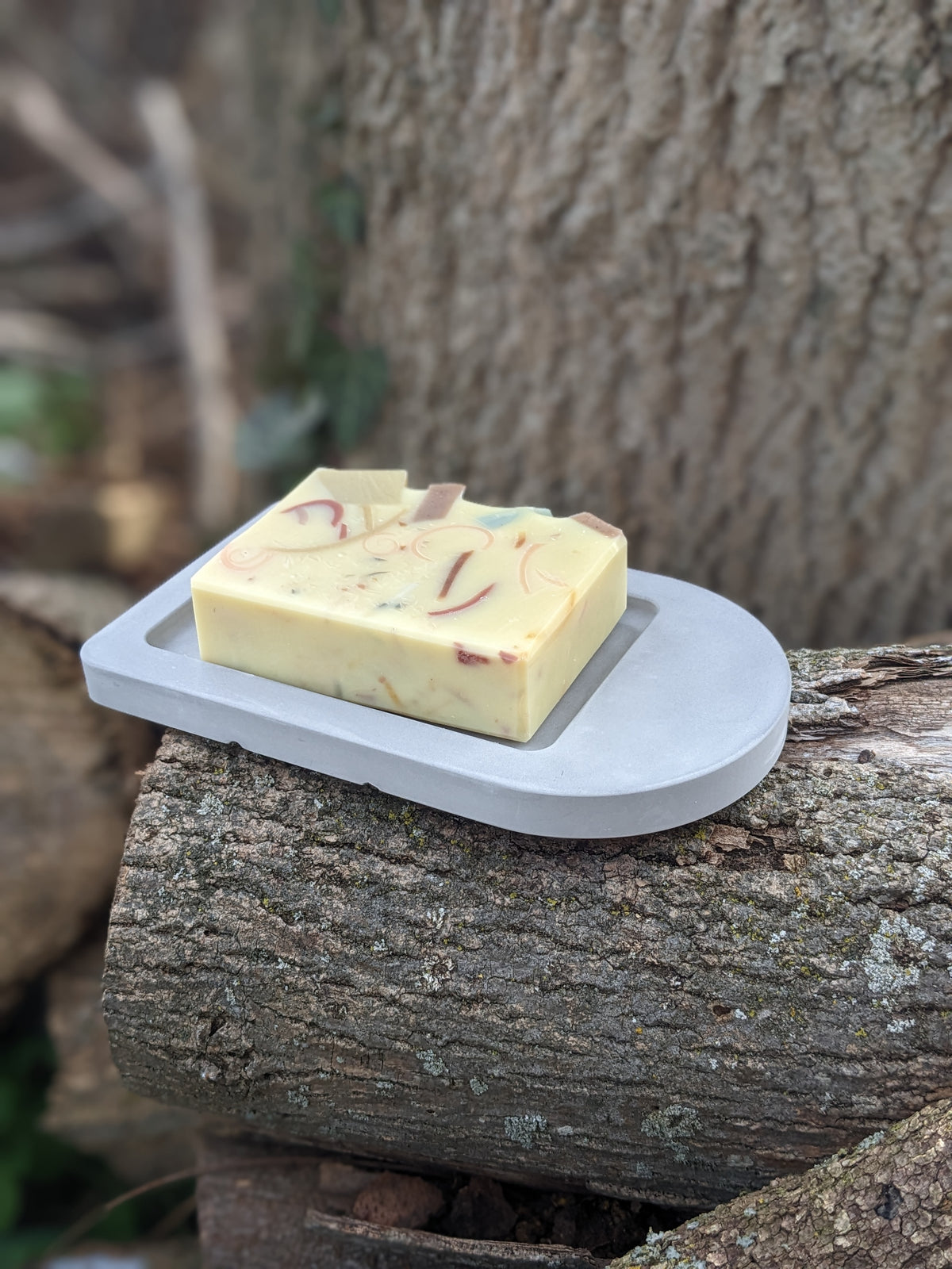 Bar of soap on a concrete soap dish, lying on a log