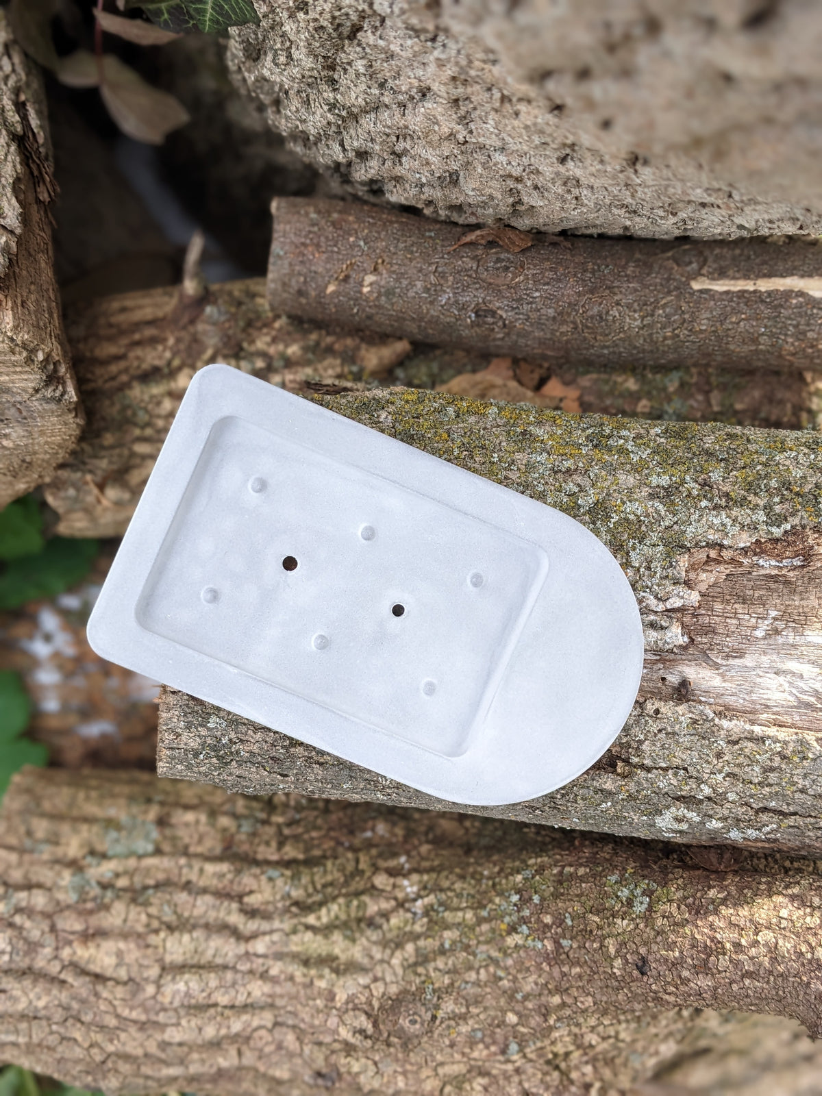 Concrete soap dish with drainage holes, displayed on a log