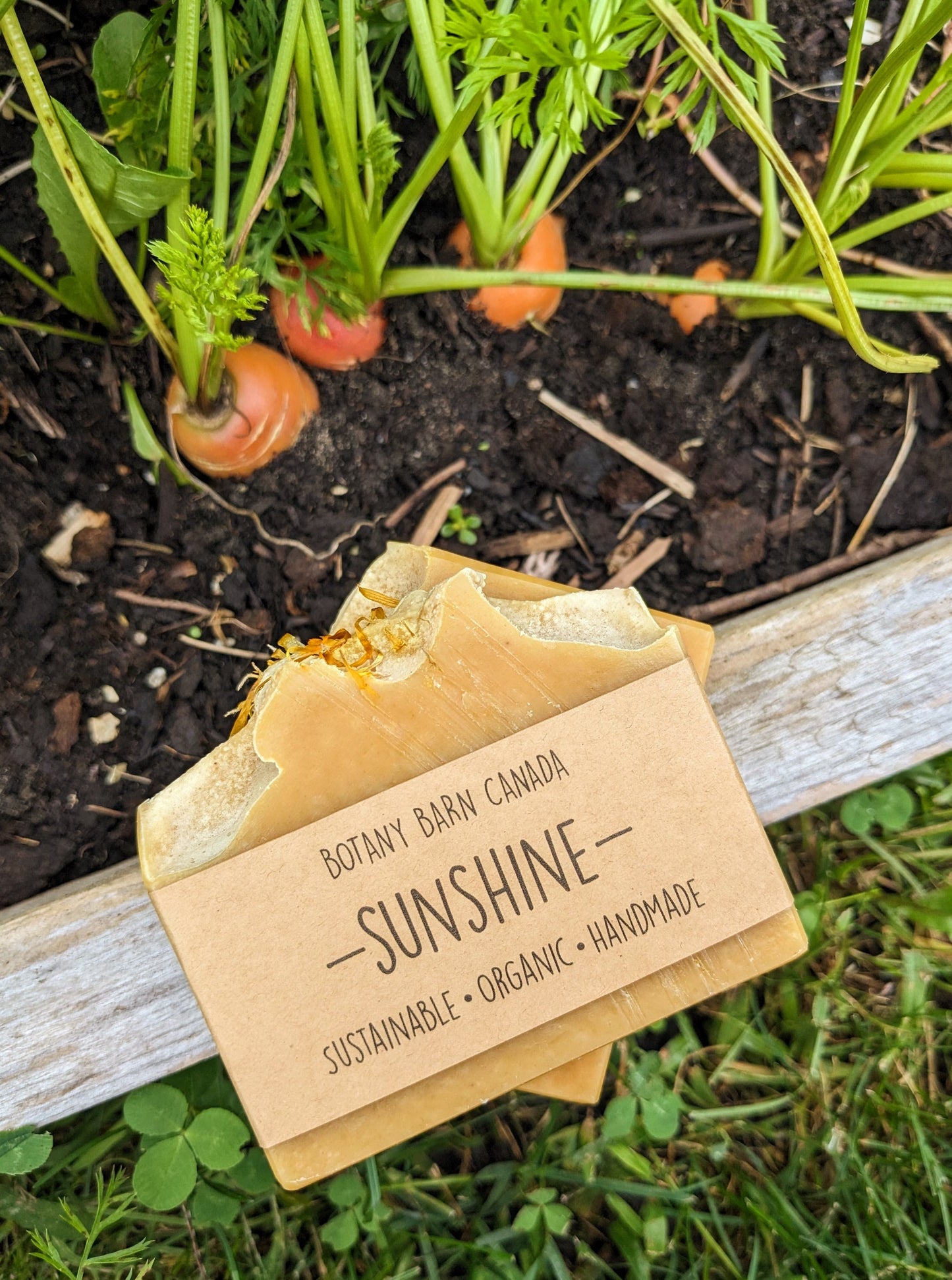 SUNSHINE - Jabón de zanahoria con aroma a limón