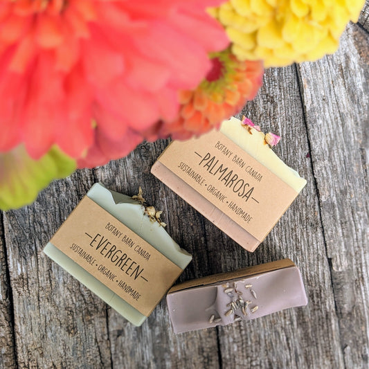 Bulk Organic Soap | 10 Handcrafted Cold Process Soap Bars