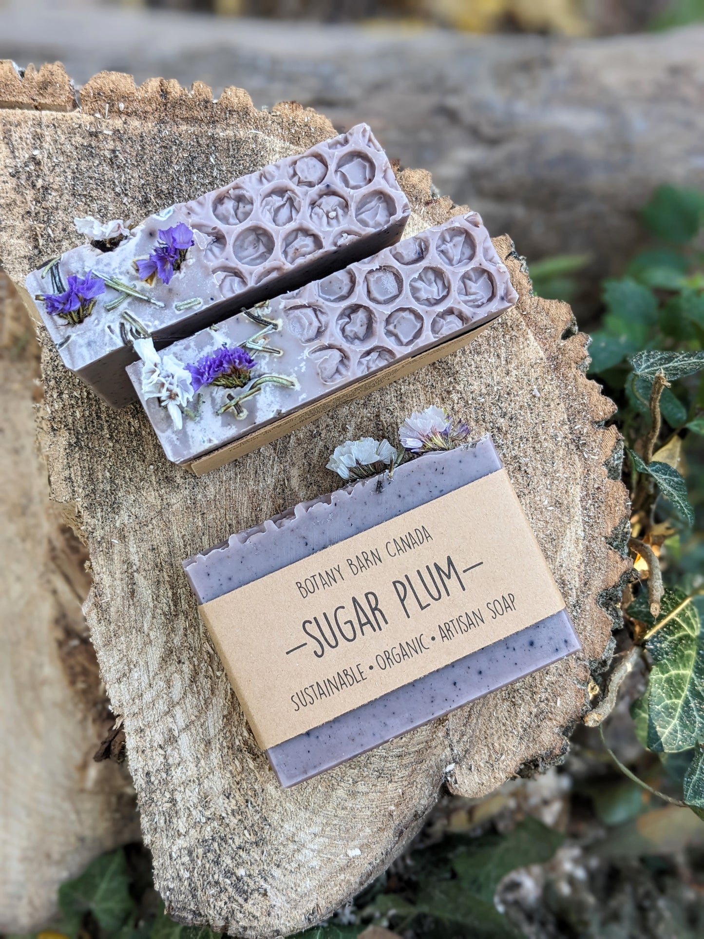 SUGAR PLUM - Cedarwood, Lavender & Anise Holiday Soap