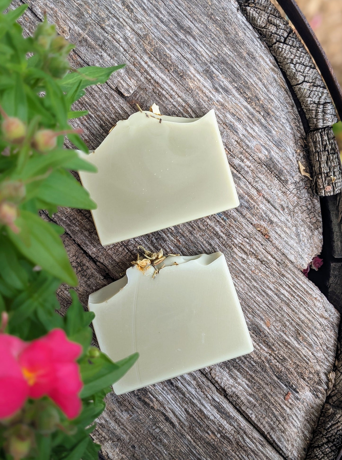 Natural Soap | EVERGREEN - Rosemary, Cedarwood & French Green Clay Soap