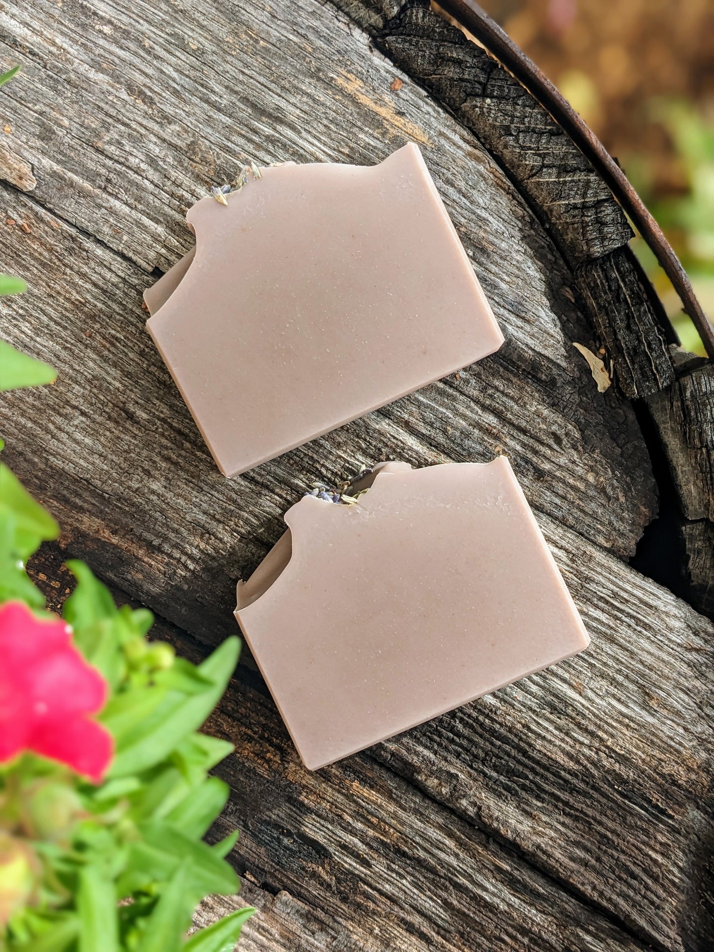 Natural Soap | LAVENDER - Pure Lavender, Purple Brazilian Clay & Coconut Milk Soap