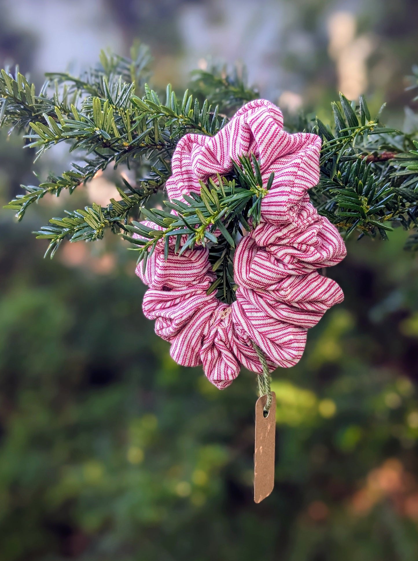 A white and red striped scrunchie in an outdoor setting