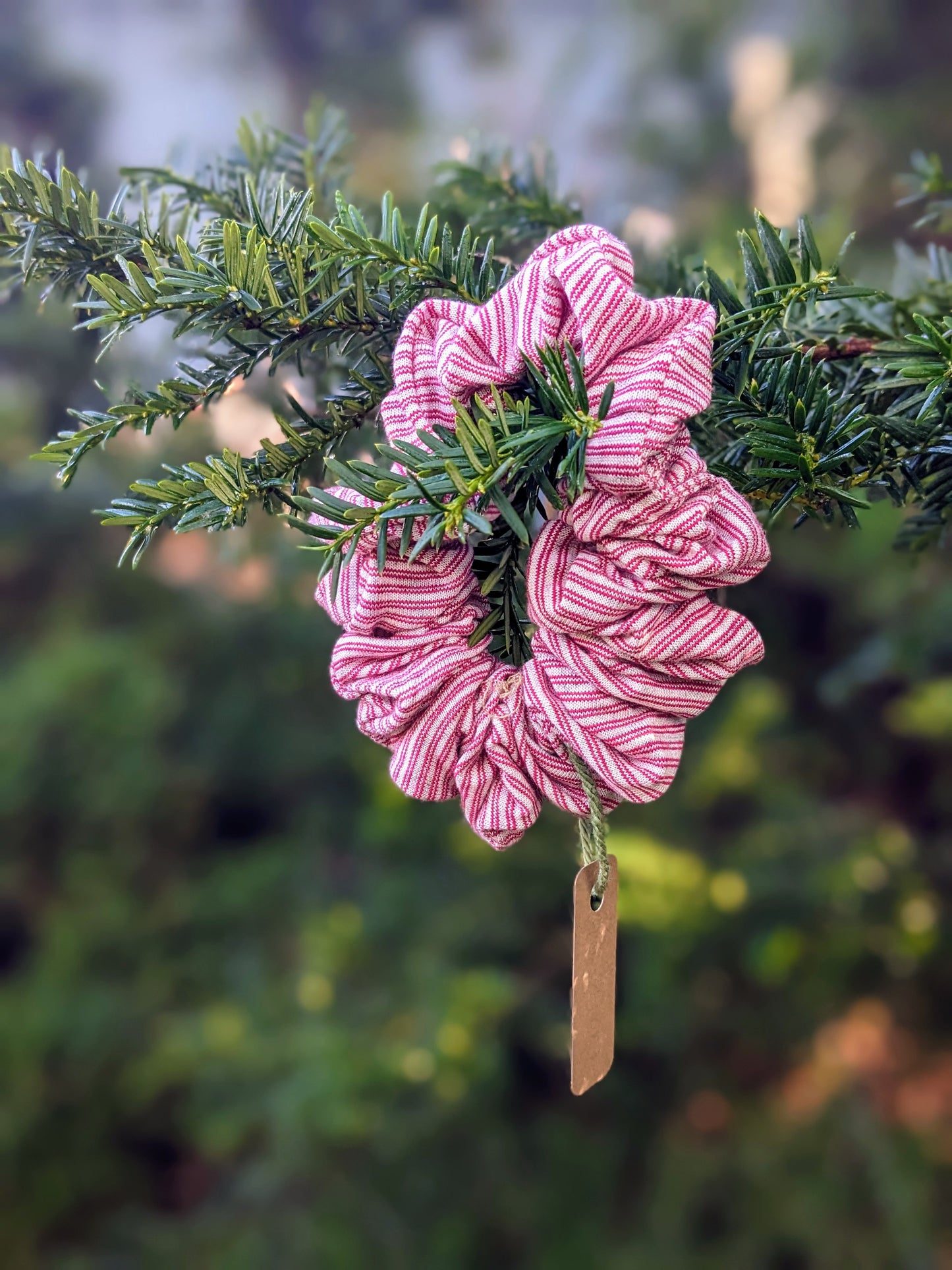 Eco Friendly Gift | Organic Soap, Biodegradable Lip Balm & Handmade Scrunchie