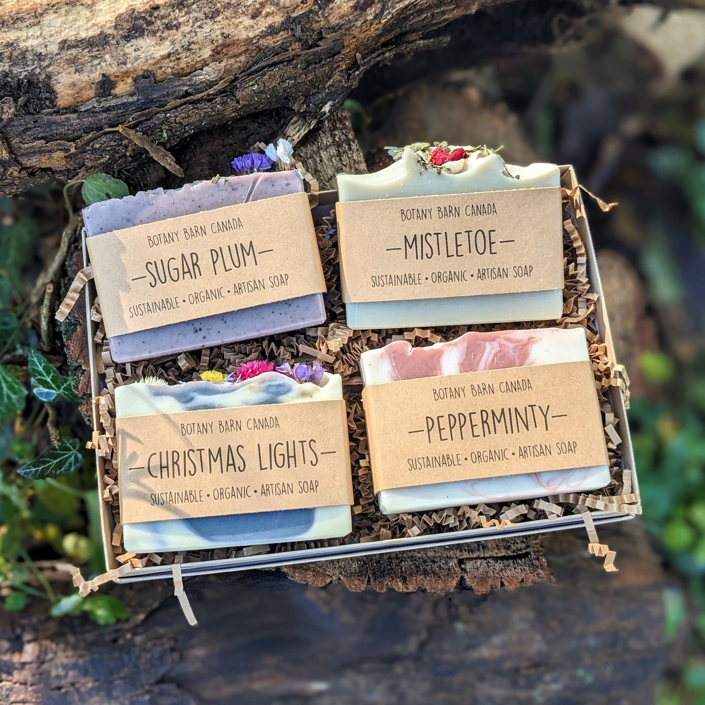 Holiday Soap Collection - Four Organic Essential Oil Soaps. Eco-Friendly Christmas Gift