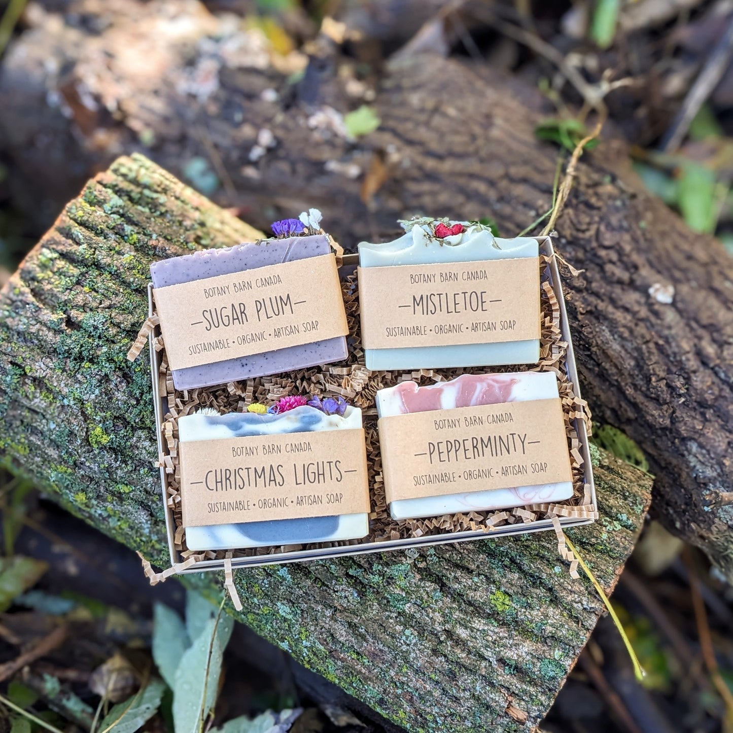 Holiday Soap Collection - Four Organic Essential Oil Soaps. Eco-Friendly Christmas Gift