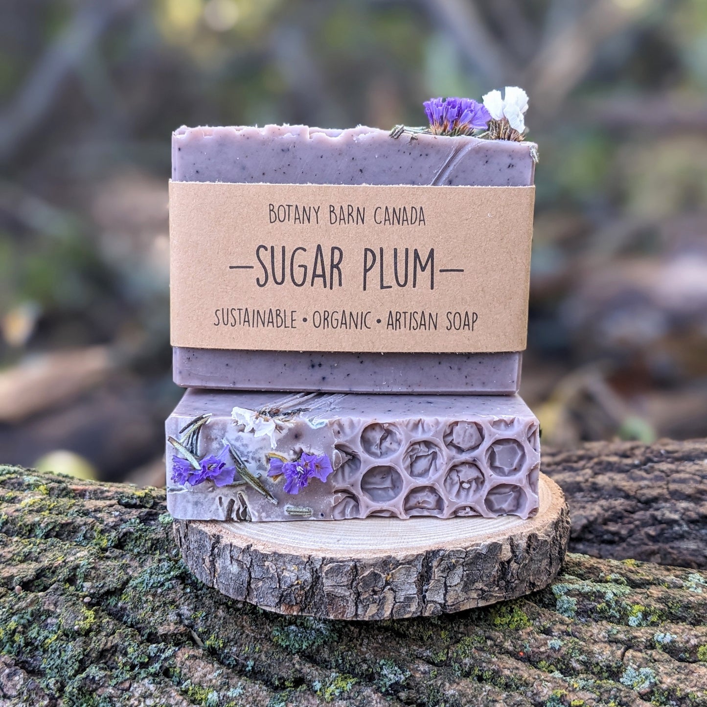 SUGAR PLUM - Cedarwood, Lavender & Anise Holiday Soap