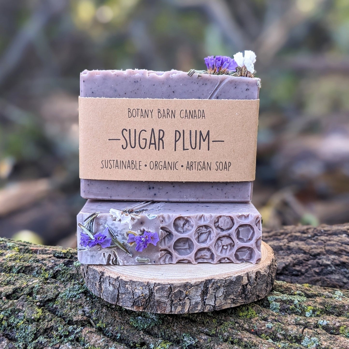 Holiday Soap Collection - Four Organic Essential Oil Soaps. Eco-Friendly Christmas Gift