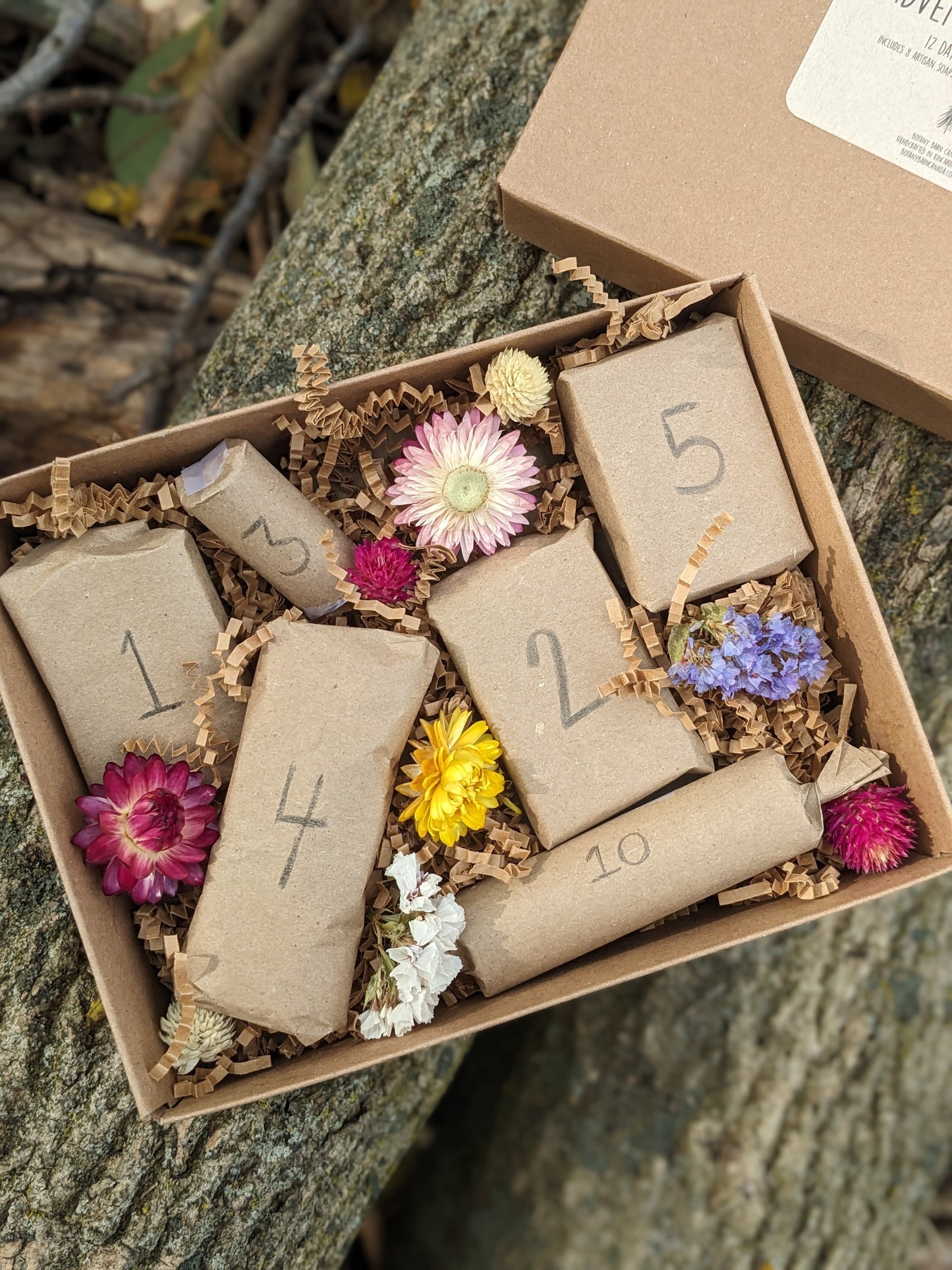 Holiday Advent Calendar - Handmade Soaps & Botanical Skincare. 12 Days of Christmas!