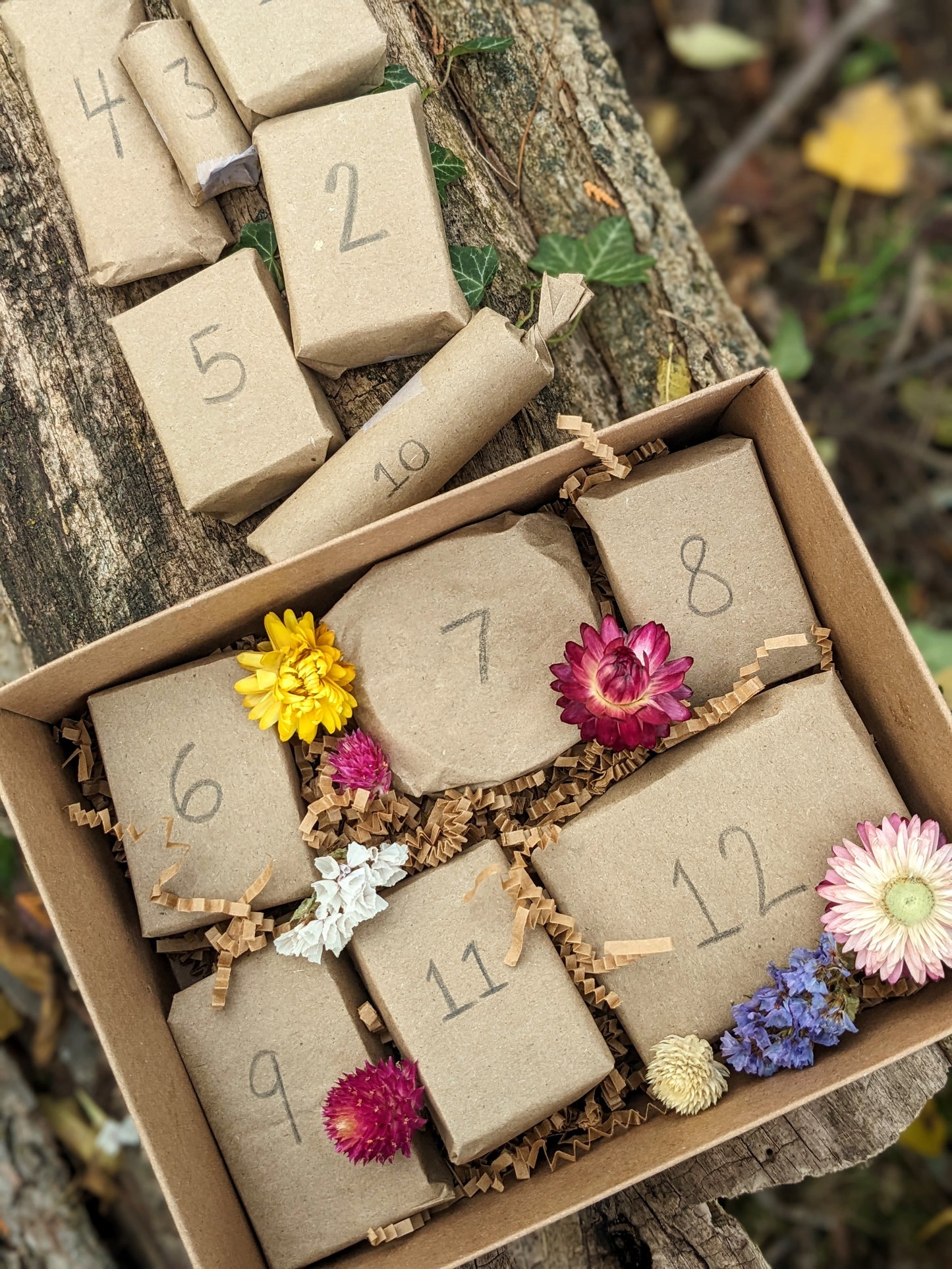 Holiday Advent Calendar - Handmade Soaps & Botanical Skincare. 12 Days of Christmas!