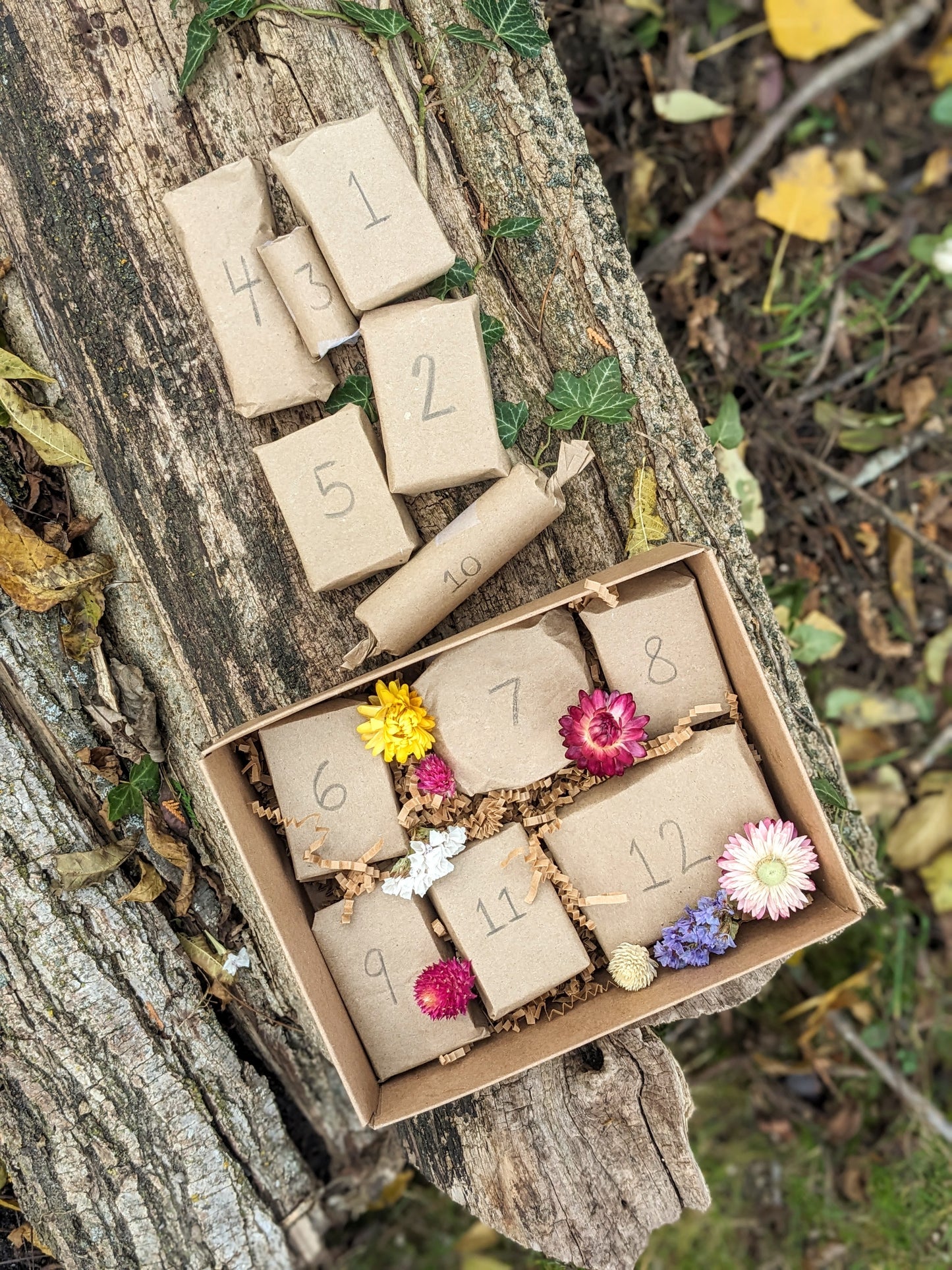 Holiday Advent Calendar - Handmade Soaps & Botanical Skincare. 12 Days of Christmas!