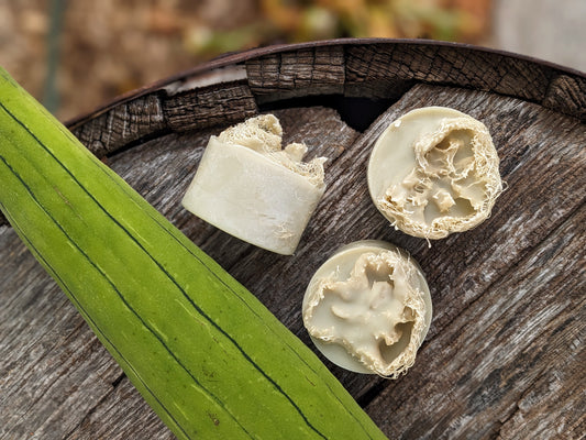 Natural Soap | LUFFA SOAP - Homegrown Exfoliating Loofa Sponge Soap