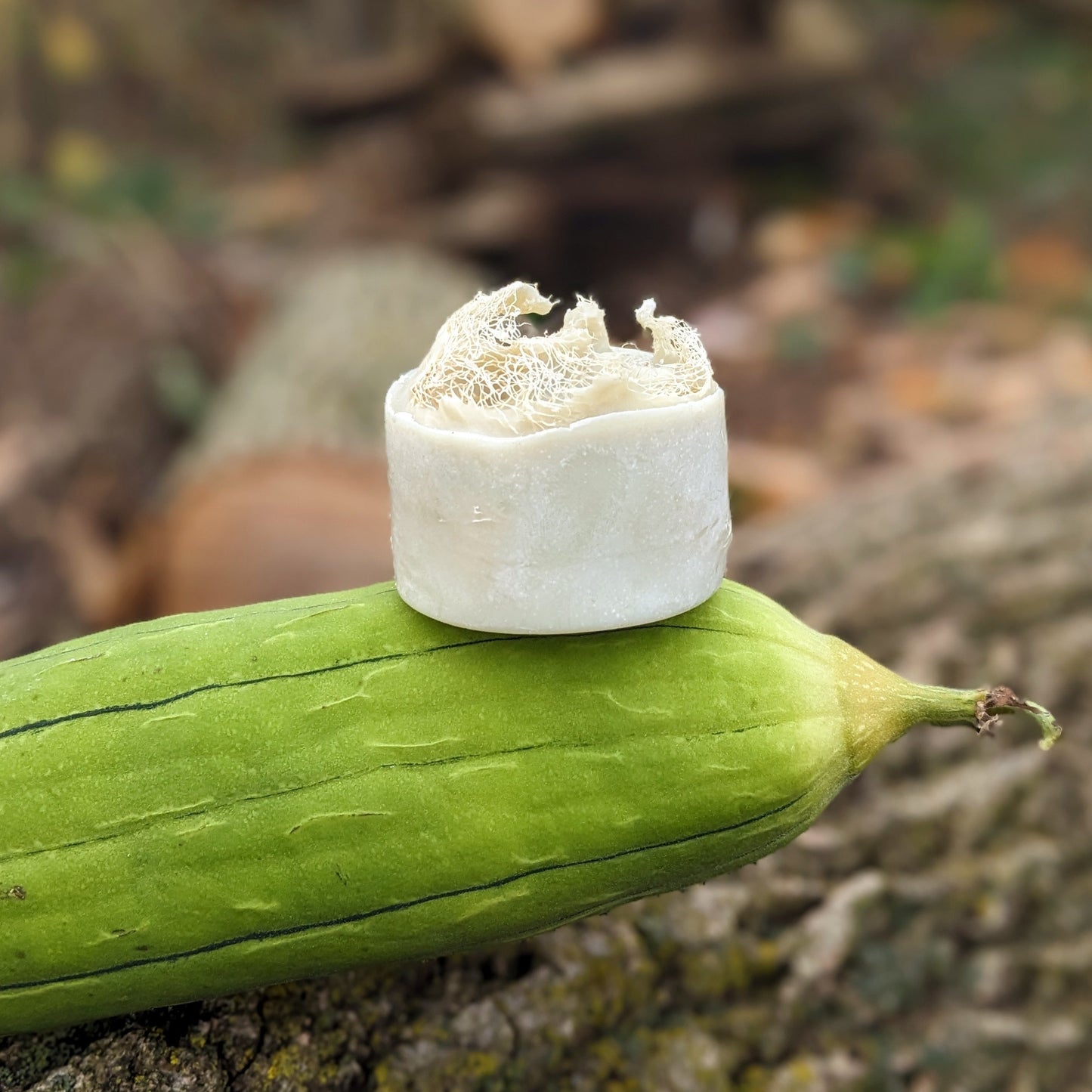 Natural Soap | LUFFA SOAP - Homegrown Exfoliating Loofa Sponge Soap