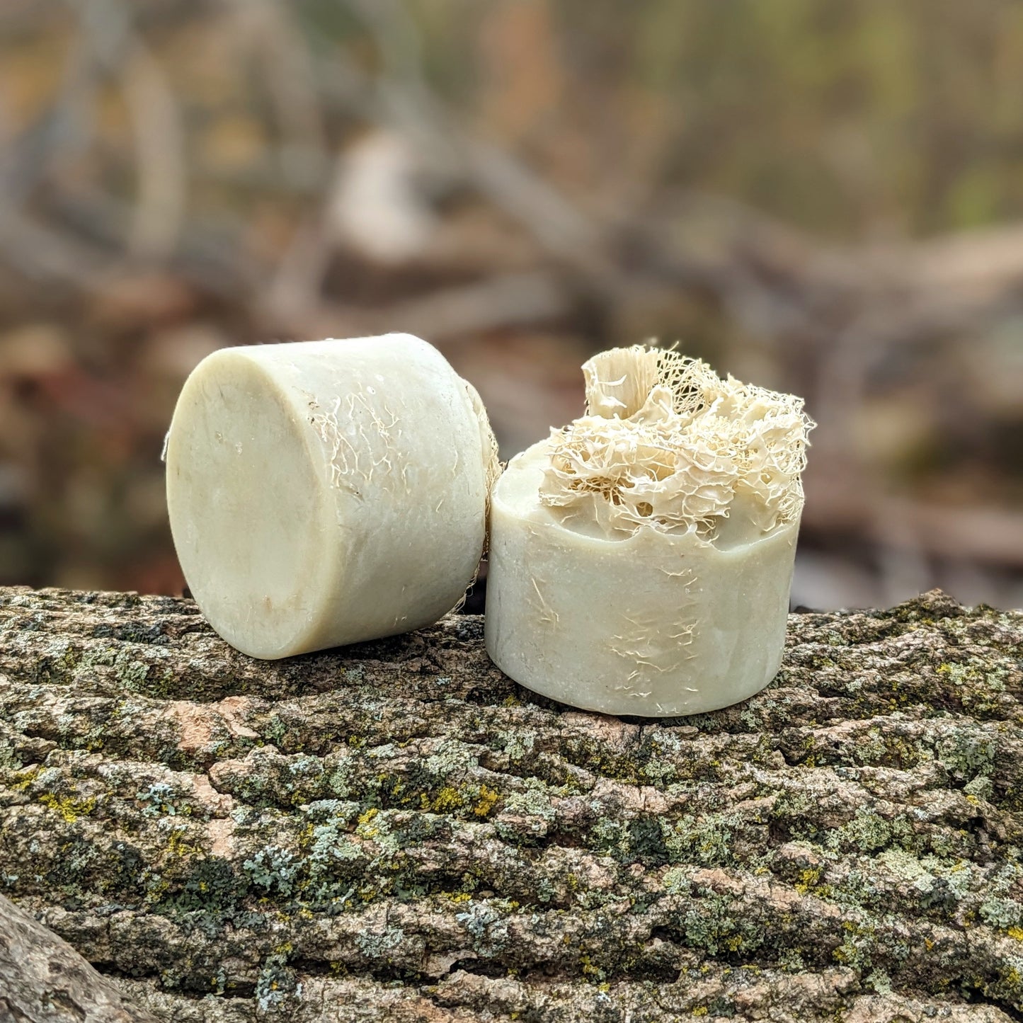 Natural Soap | LUFFA SOAP - Homegrown Exfoliating Loofa Sponge Soap
