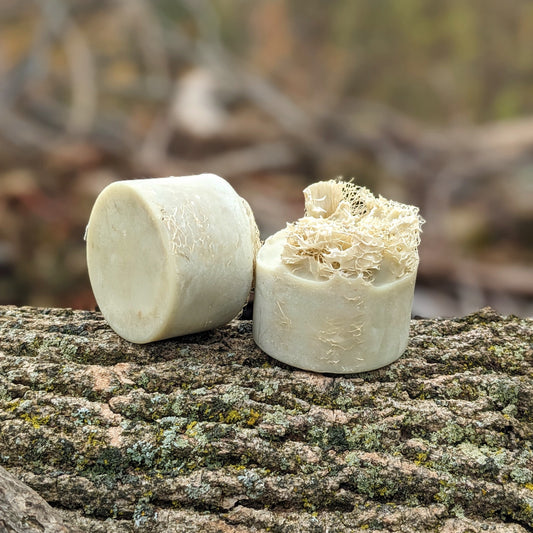 Natural Soap | LUFFA SOAP - Homegrown Exfoliating Loofa Sponge Soap