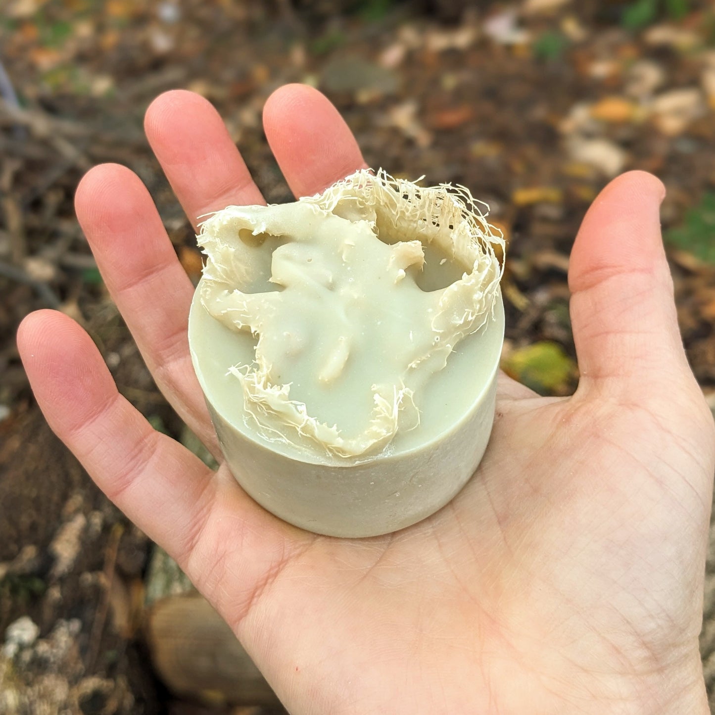 Natural Soap | LUFFA SOAP - Homegrown Exfoliating Loofa Sponge Soap