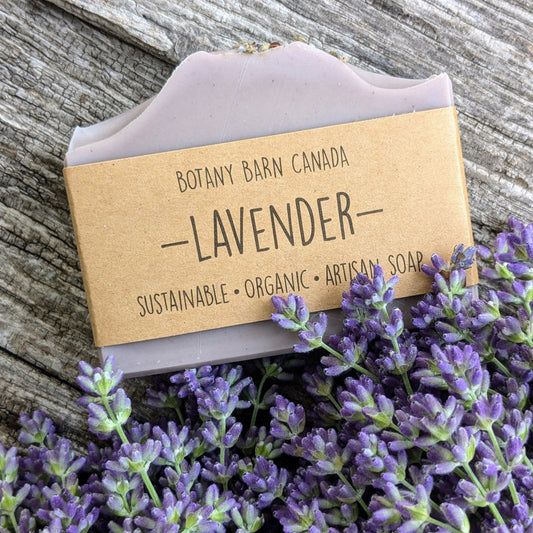 Coffret cadeau de soins personnels pour amoureux de la lavande avec savon artisanal, baume à lèvres écologique et barre de lotion biologique