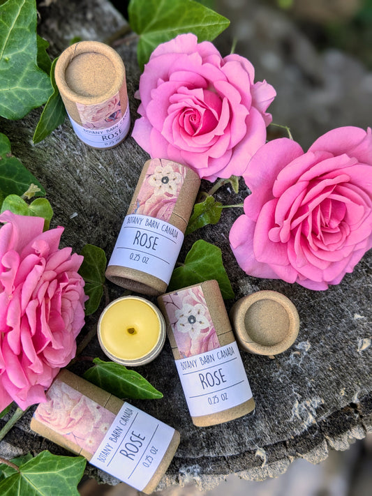 Multiple eco-friendly cardboard tubes of lip balm are displayed with their caps removed, revealing the balm inside. The tubes are presented next to pink roses and green leaves, suggesting a natural and organic product.