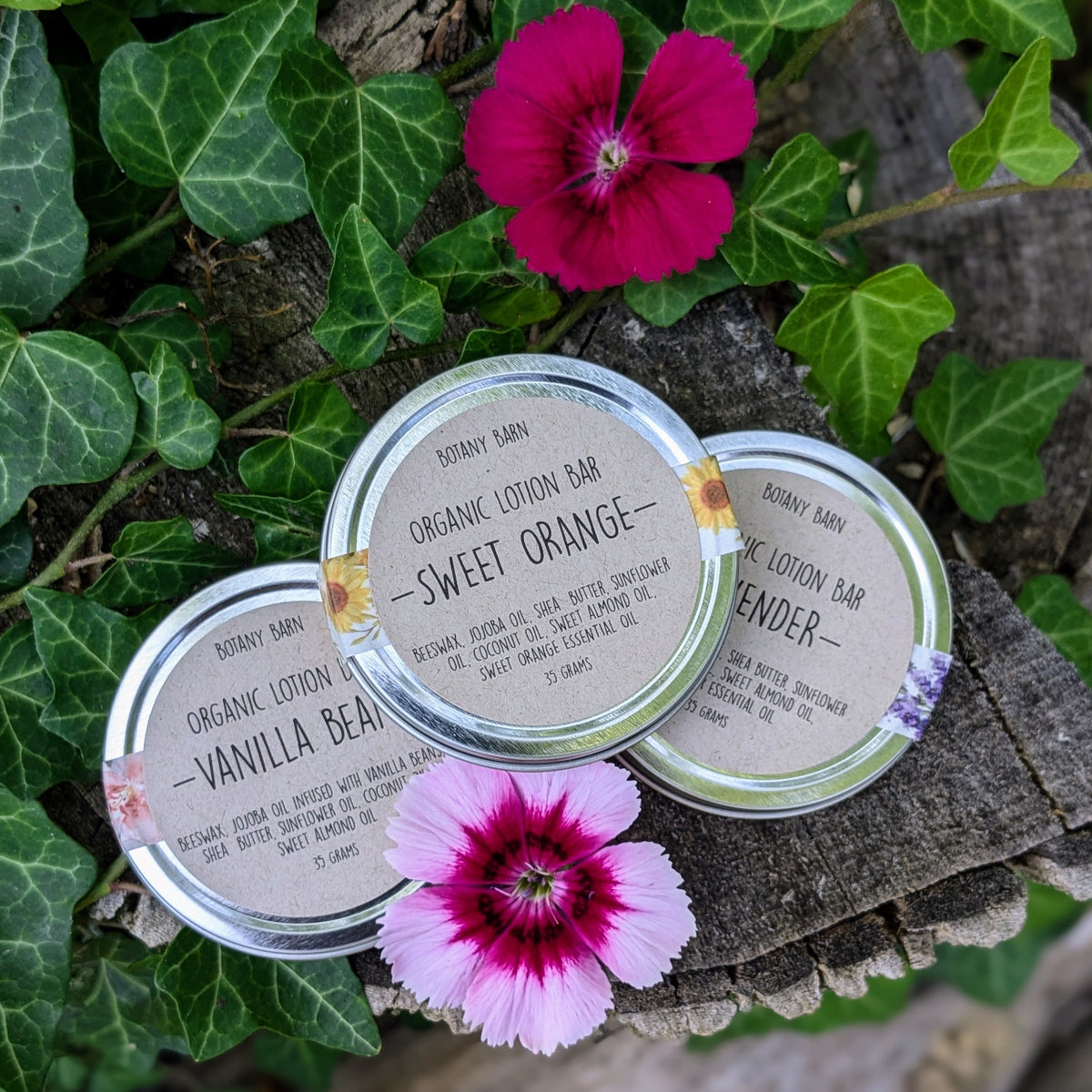 Organic lotion bars in metal tins, displayed on a natural backdrop