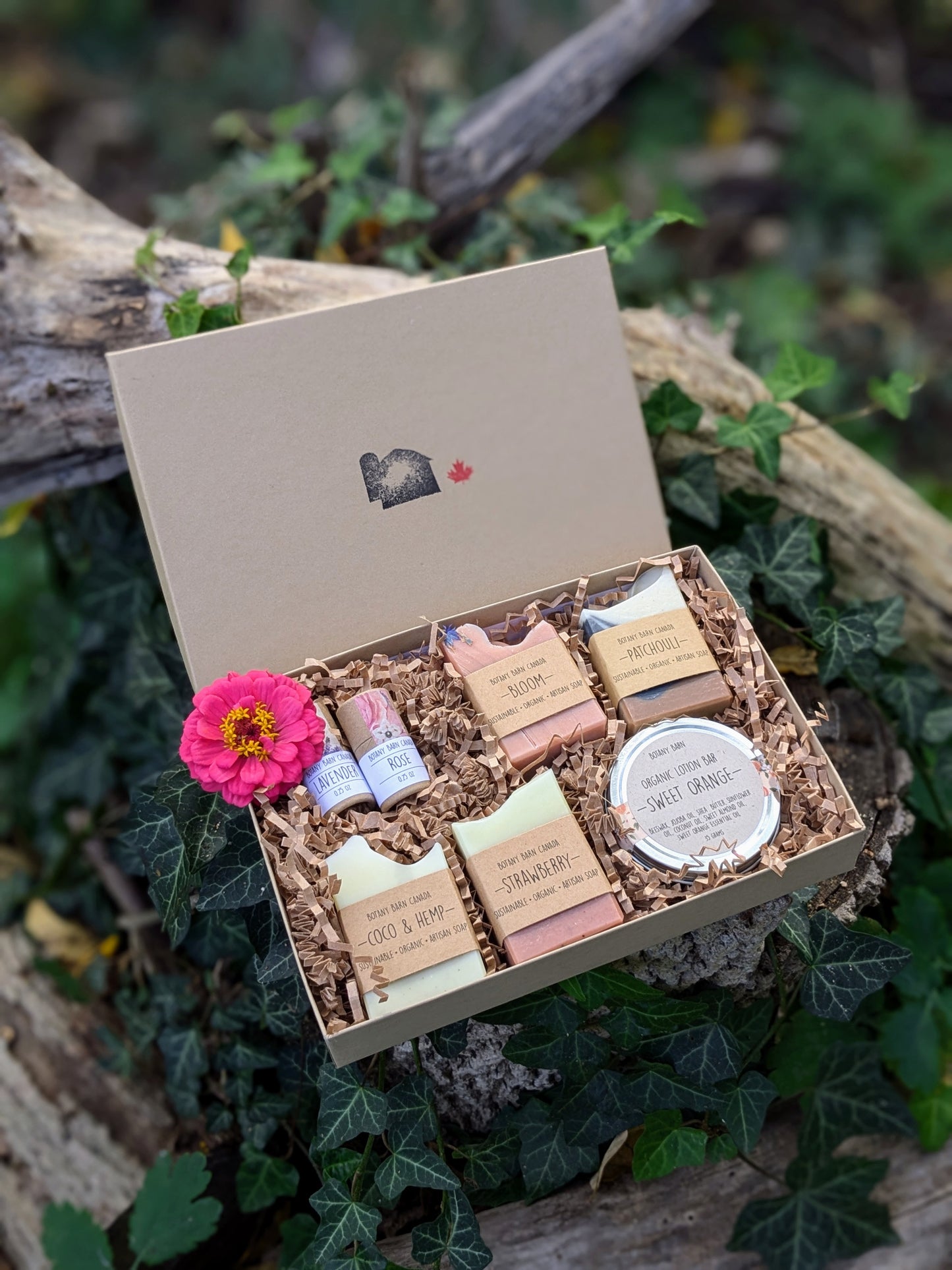 Coffret cadeau bain et corps biologique avec savon artisanal, lotion biologique et baume à lèvres écologique