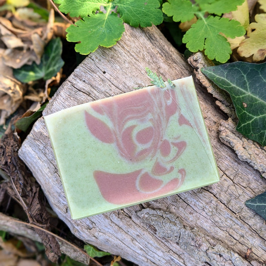 Natural Soap | SPRUCED UP - Black Spruce & Peppermint Soap