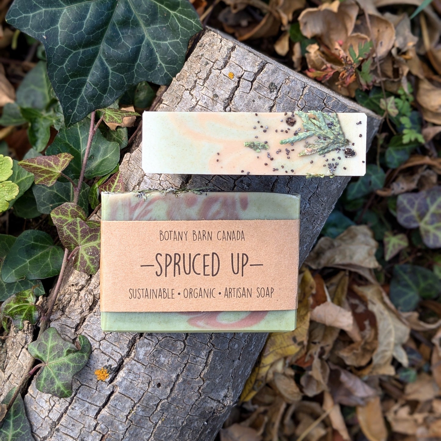 Natural Soap | SPRUCED UP - Black Spruce & Peppermint Soap