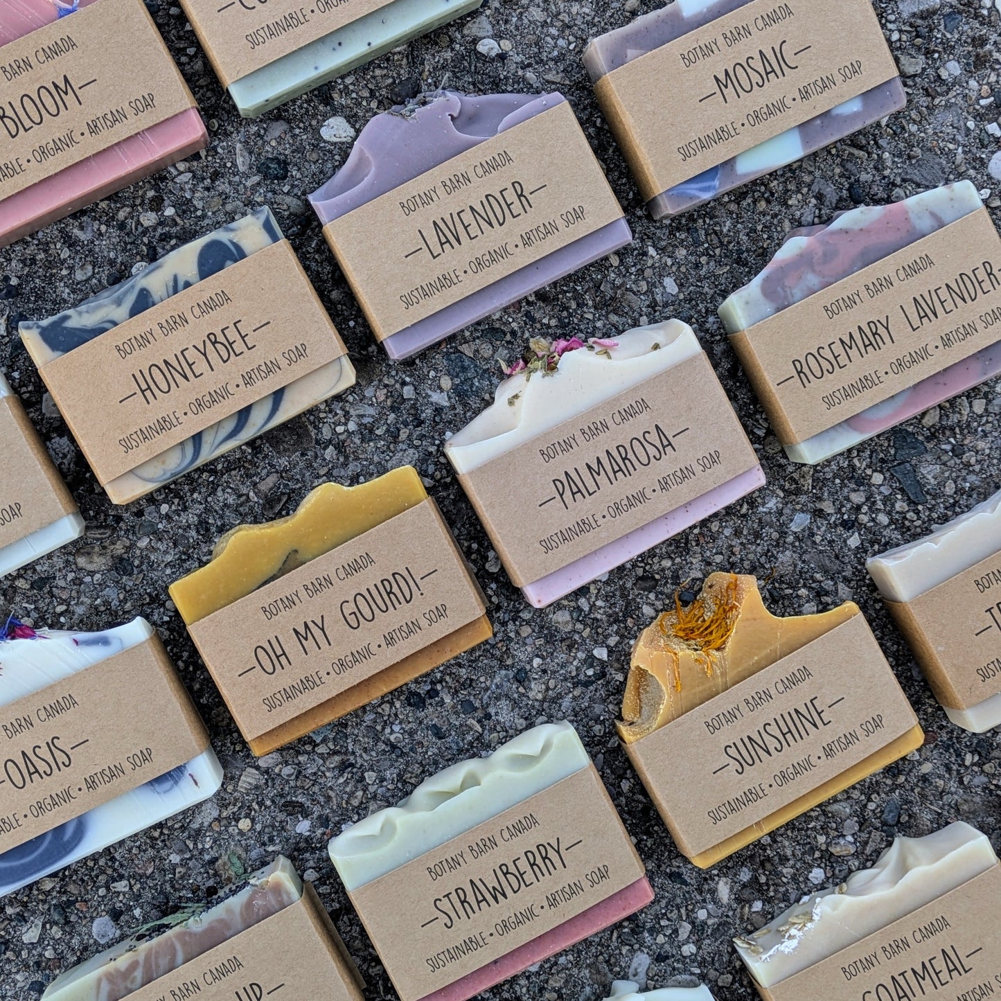 A variety of handcrafted soap bars with different colors and scents, labeled with names such as Aurora Borealis, Bloom, and Lavender, among others. The bars are placed on a neutral surface, showcasing their natural textures and colors.