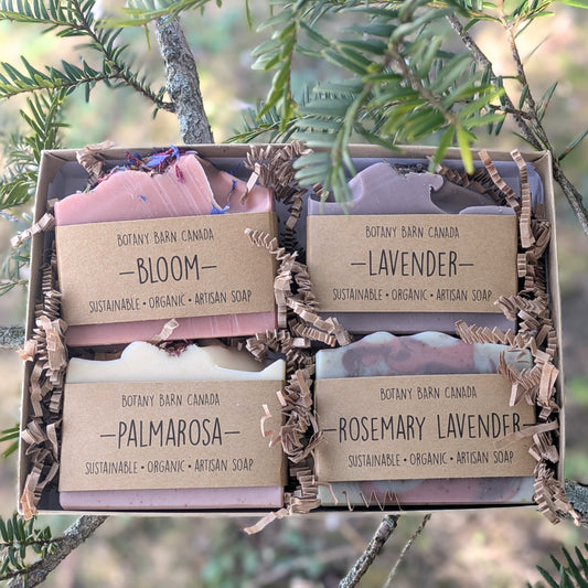 Natural Soaps | Gift Set of Four Organic Artisan Soaps
