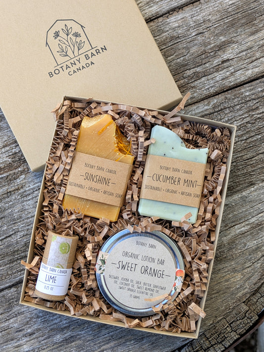 Canadian Made Gift | Mini Box with 2 Soaps, Eco Friendly Lip Balm and Organic Lotion Bar
