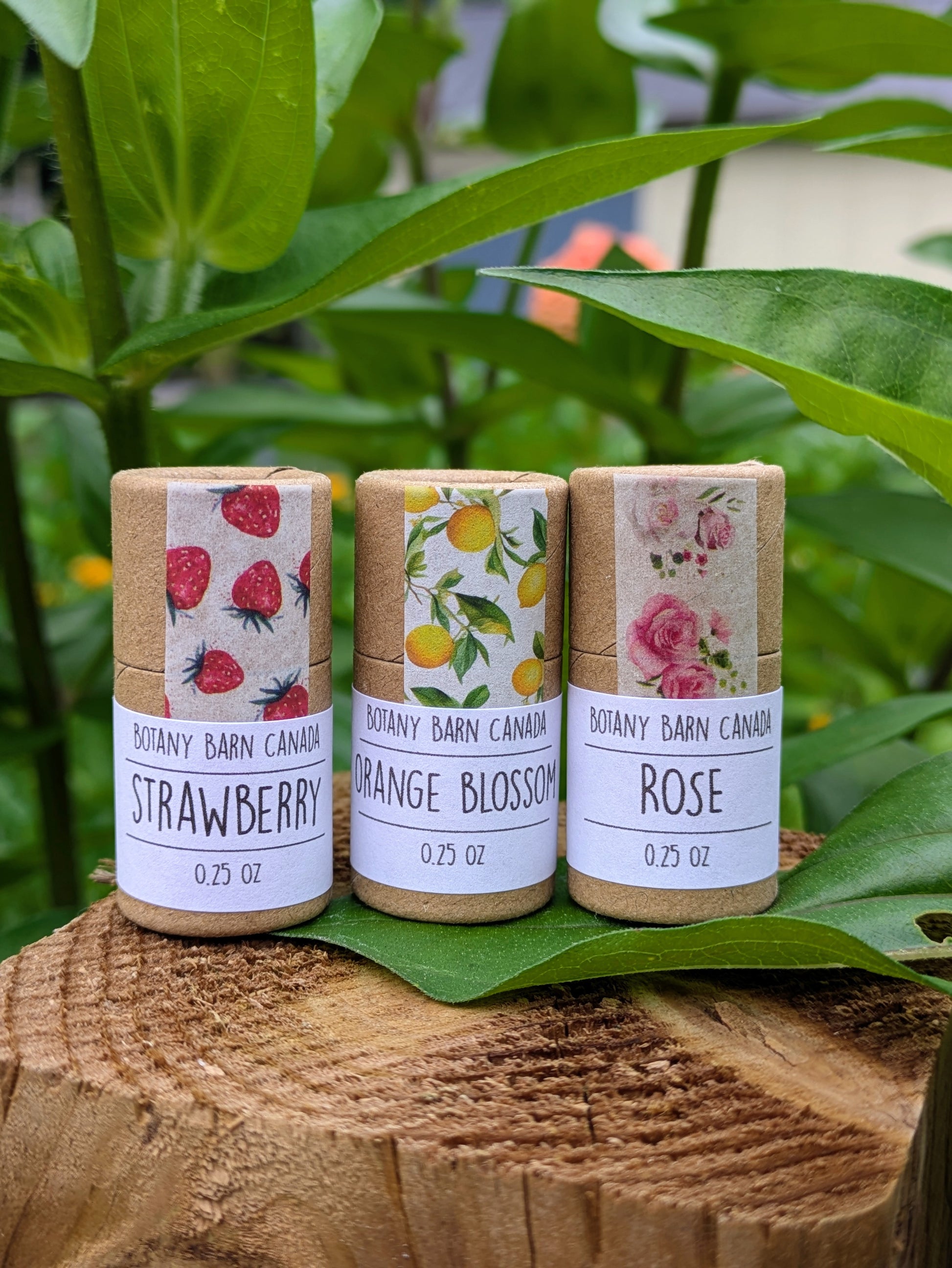 Three tubes of Botany Barn Canada lip balm on a wooden surface with green leaves in the background.