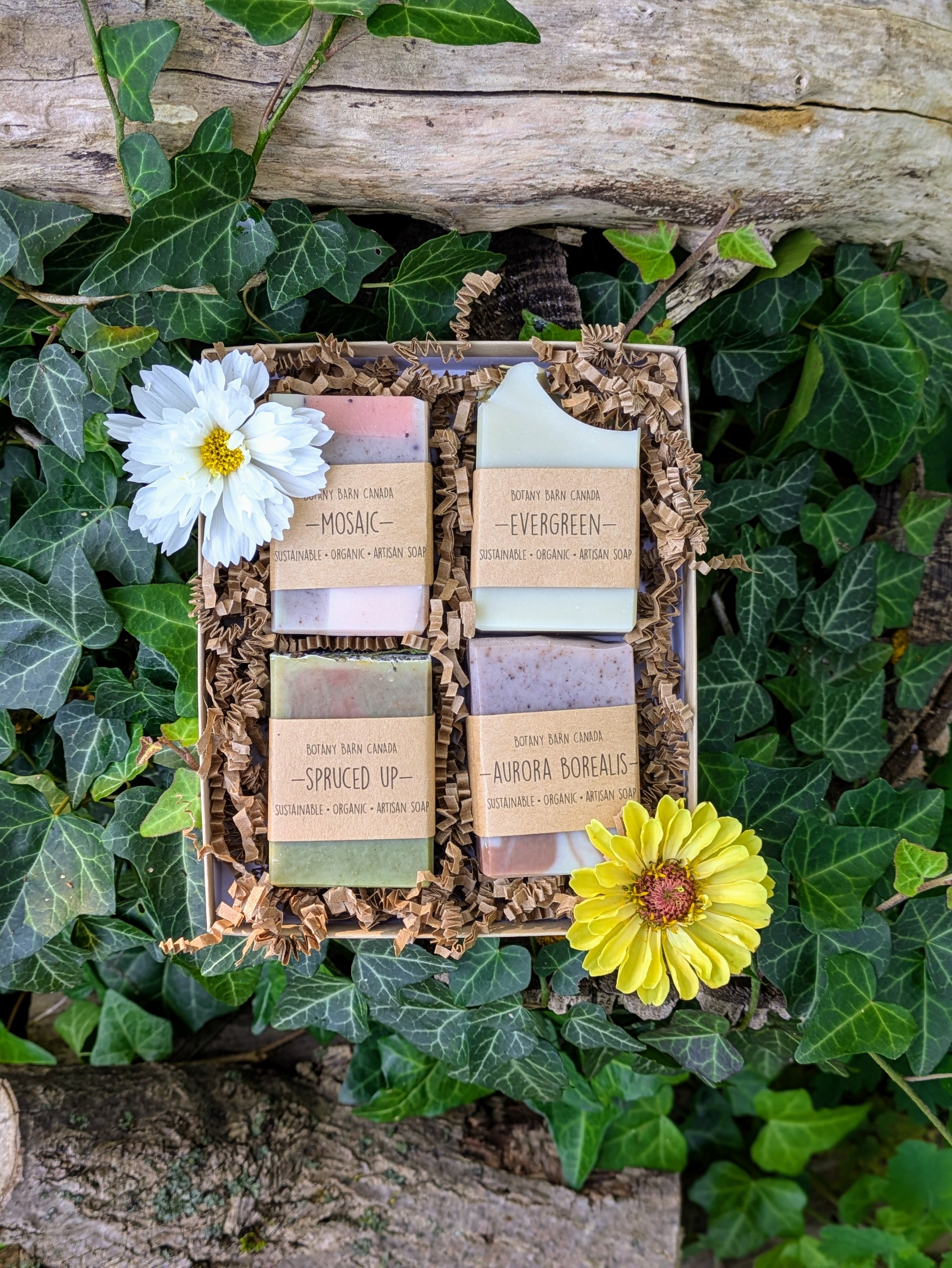 Set of soaps in a decorative box with flowers on a natural background