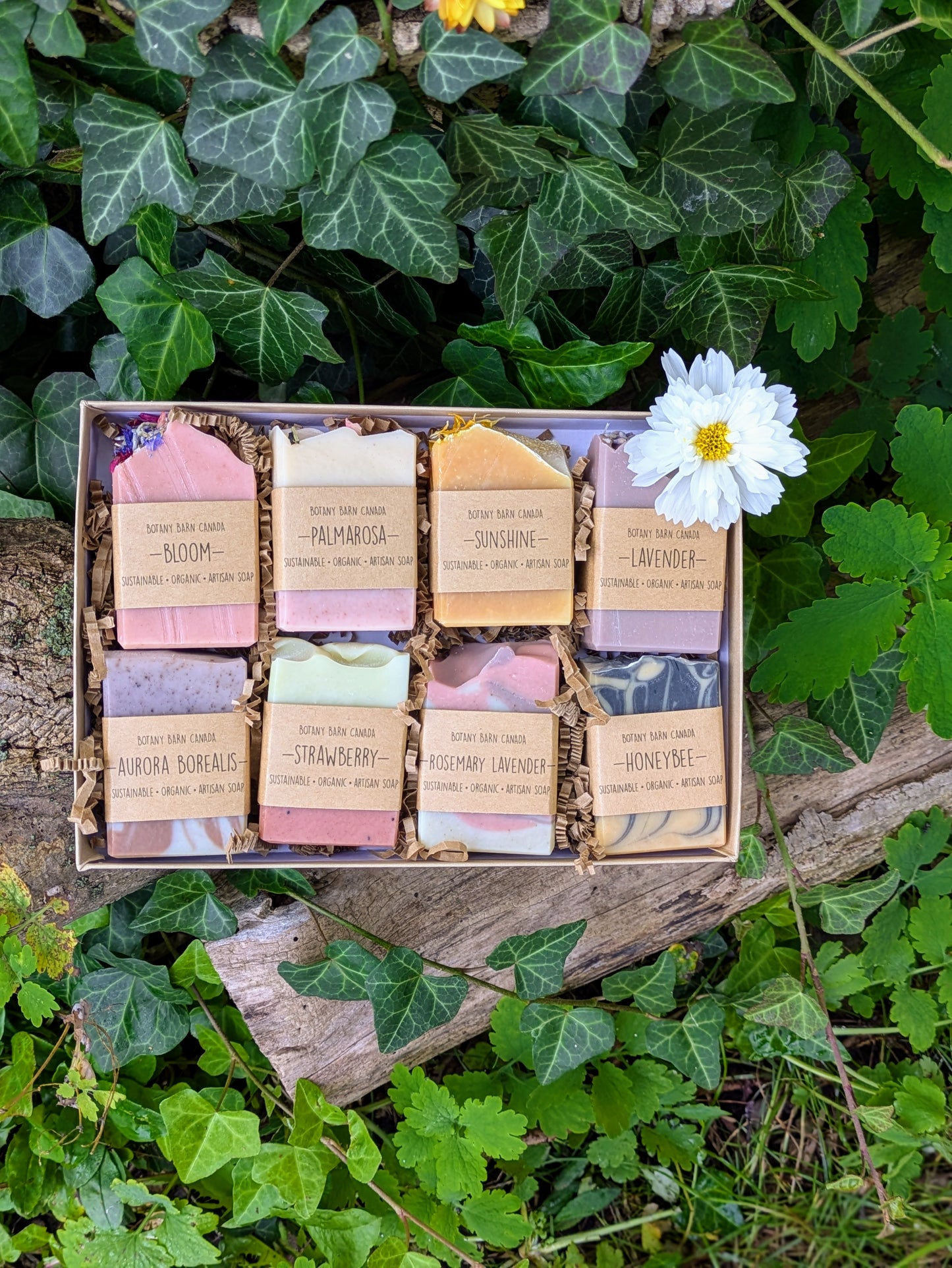 Coffret cadeau de 8 savons aux huiles essentielles faits à la main - Échantillonneur de savon demi-barre