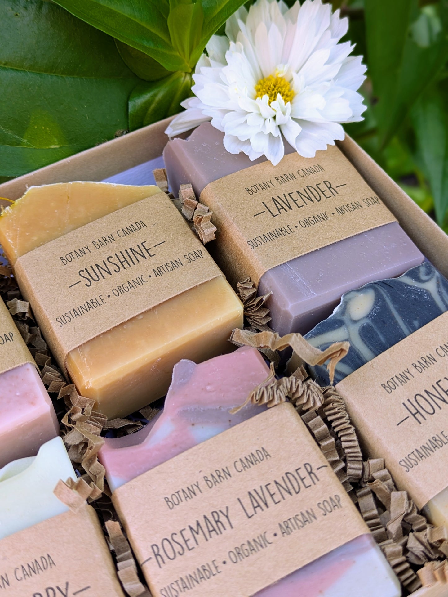 Coffret cadeau de 8 savons aux huiles essentielles faits à la main - Échantillonneur de savon demi-barre