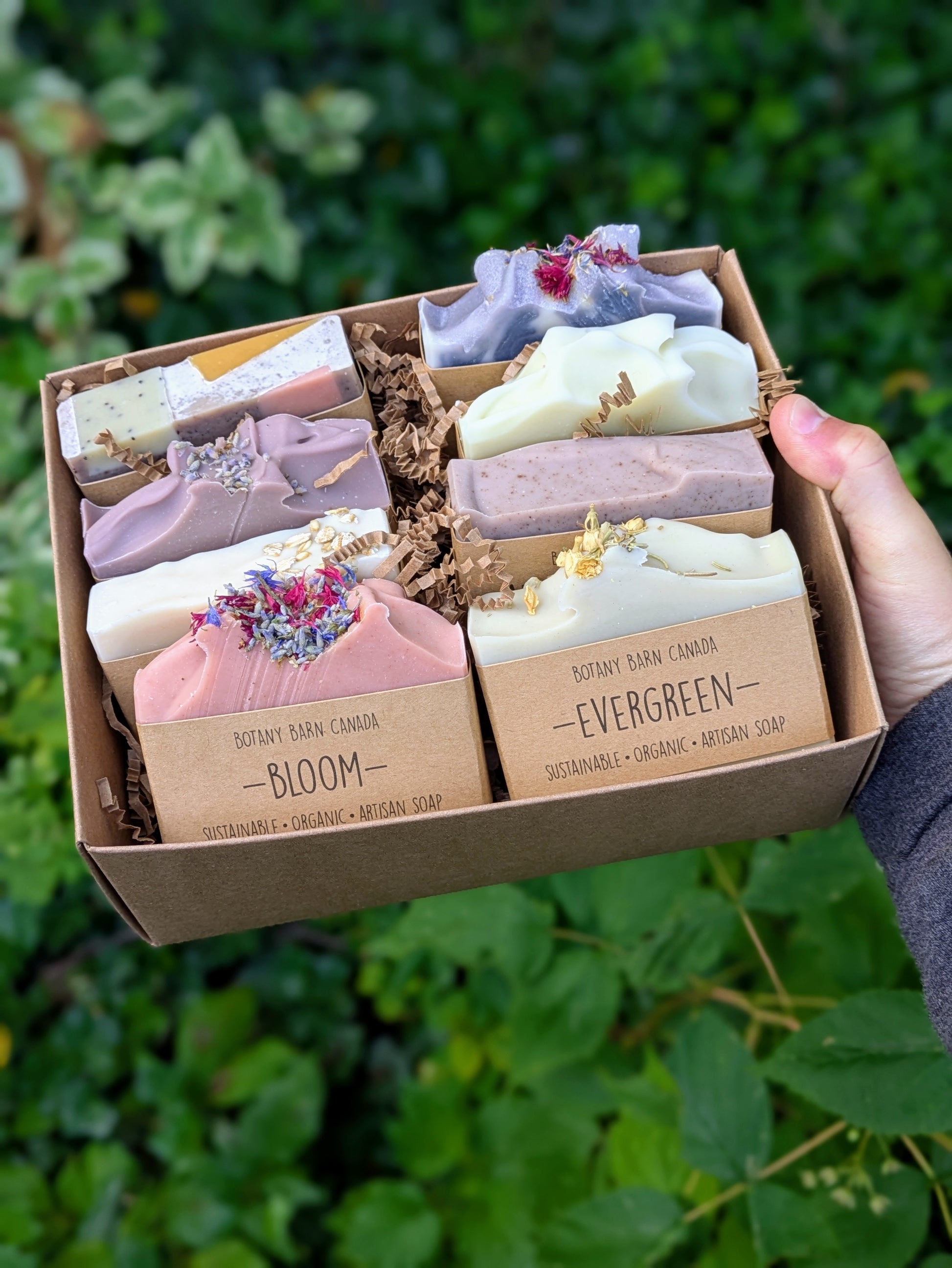 Box of assorted soaps with visible branding held against a green leafy background