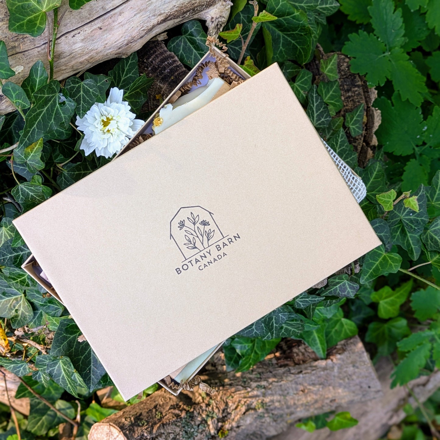 Scent Free Gift Box | Natural Soaps, Organic Lip Balm & Lotion Bar, Handmade Facial Round