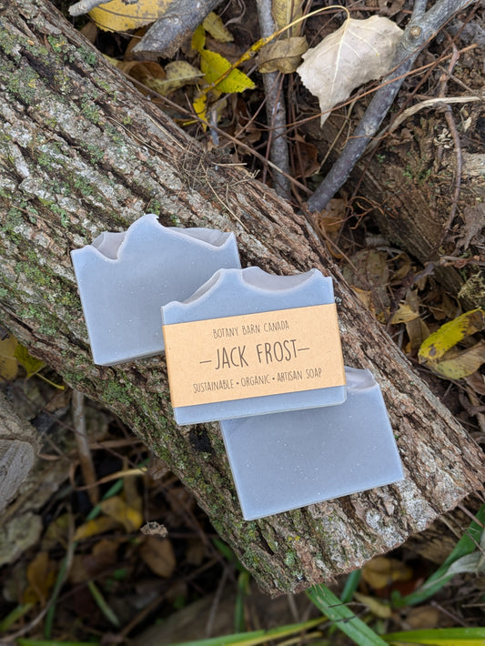 Two blue soap bars with a 'Jack Frost' label on a tree branch