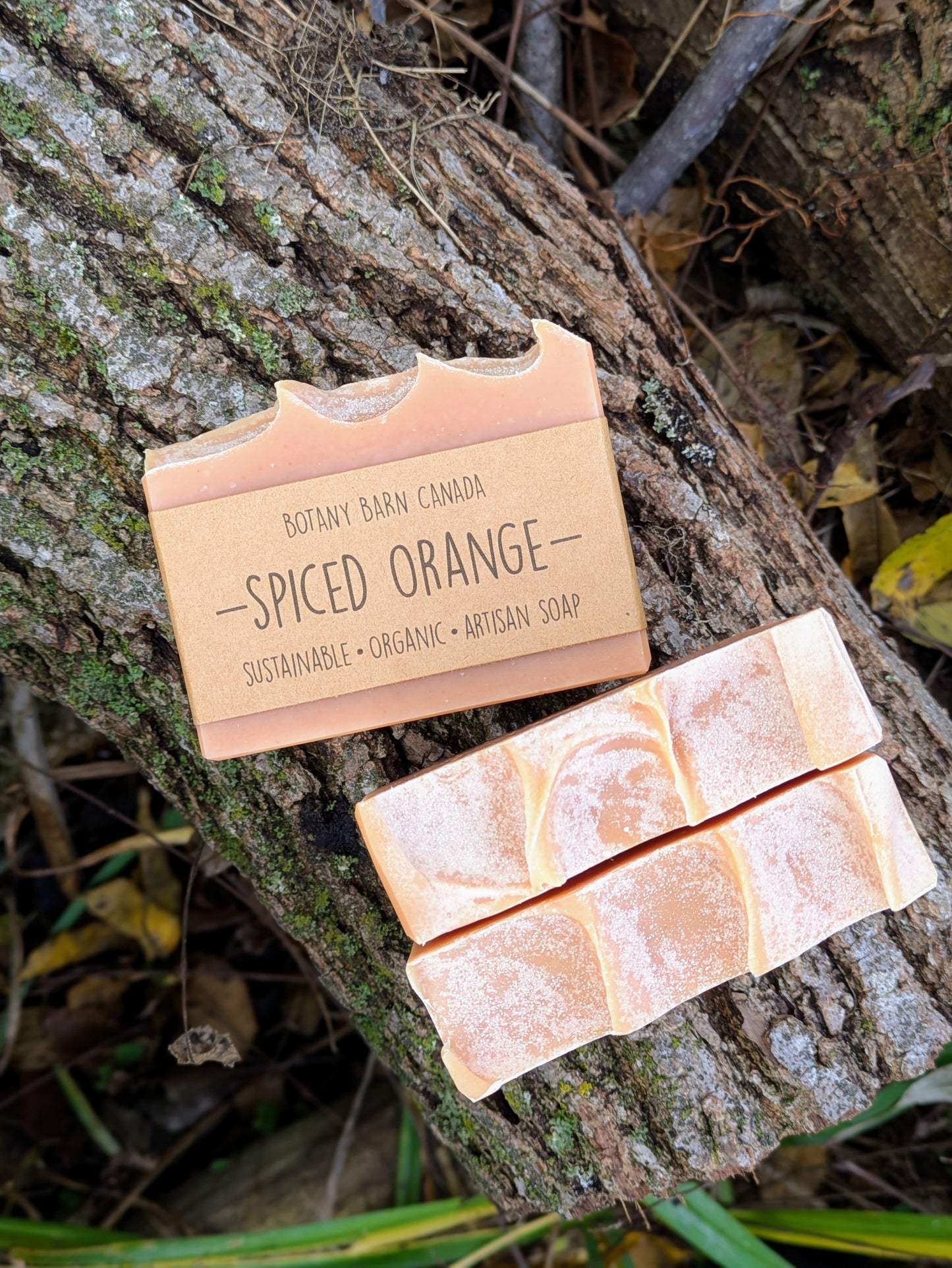 Natural Soap | SPICED ORANGE - Sweet Orange, Cinnamon & Vanilla Holiday Soap
