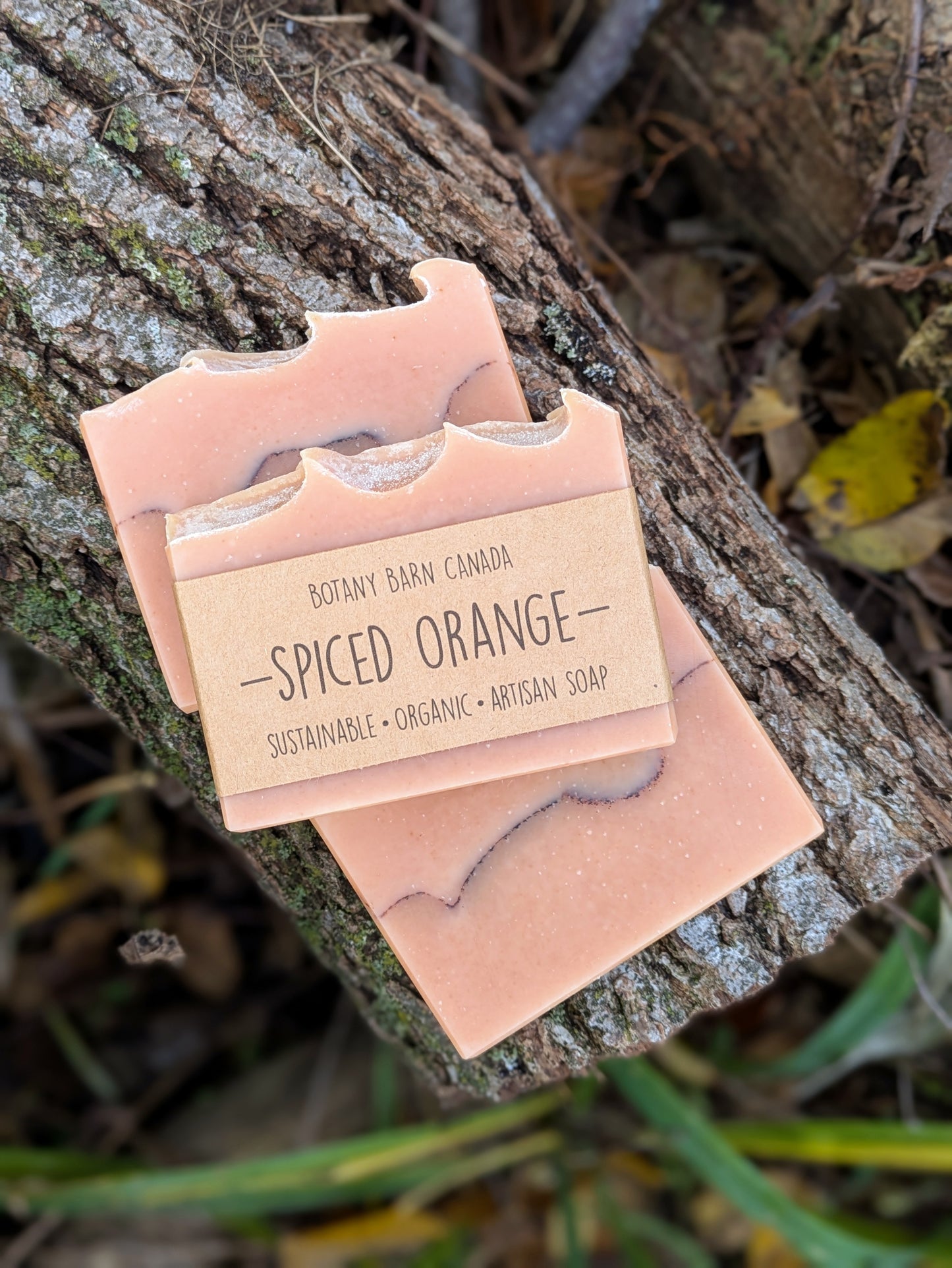 Bar of soap with a label reading "Spiced Orange" on a tree branch