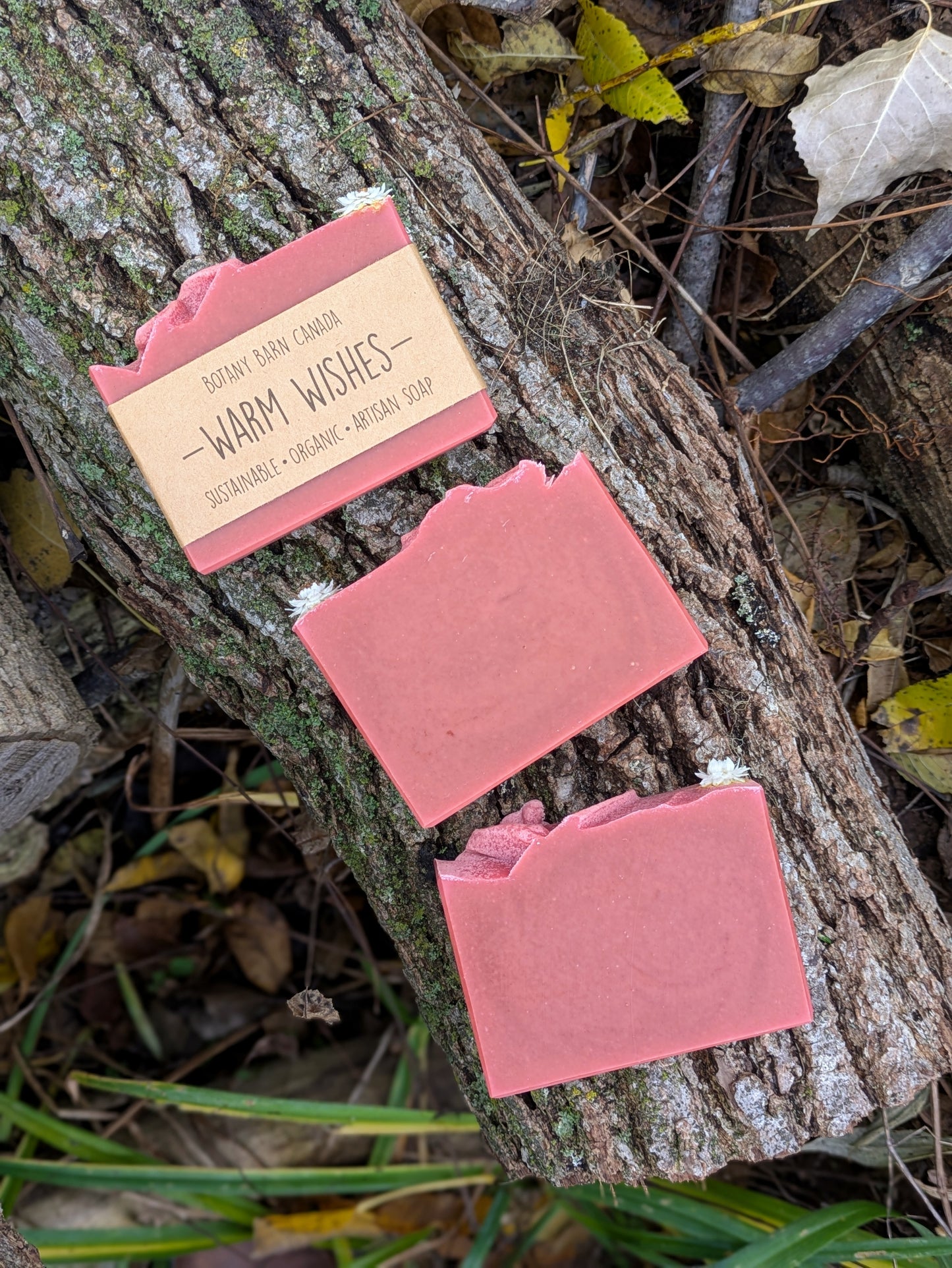 Natural Soap | WARM WISHES - Cedarwood, Clove & Star Anise Holiday Soap