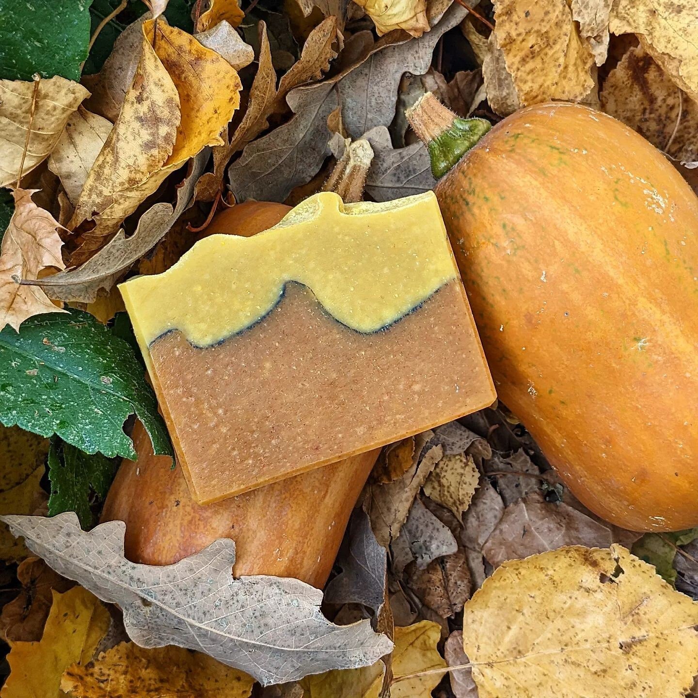 Bar of soap with a wavy top layer on a bed of autumn leaves and pumpkins.