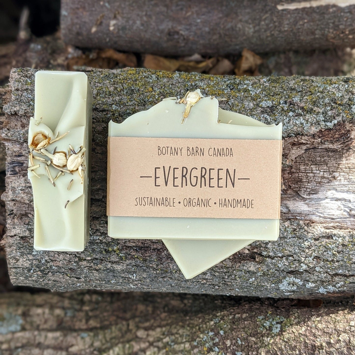 Woodsy Spa Kit | Canadian Made Soaps, Washcloth, Body Butter, Scrubbie & Lip Balm
