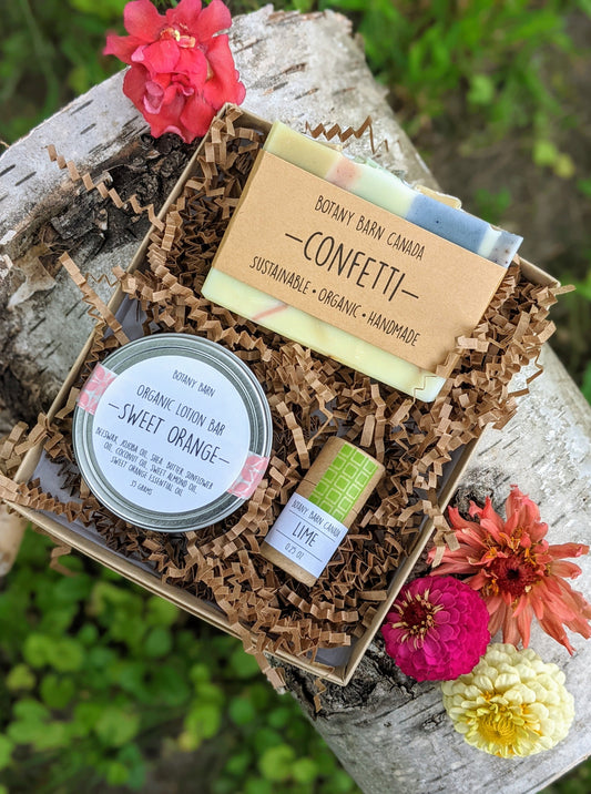 Self Care Gift Set | Organic Soap, Eco Friendly Lip Balm and Organic Lotion Bar