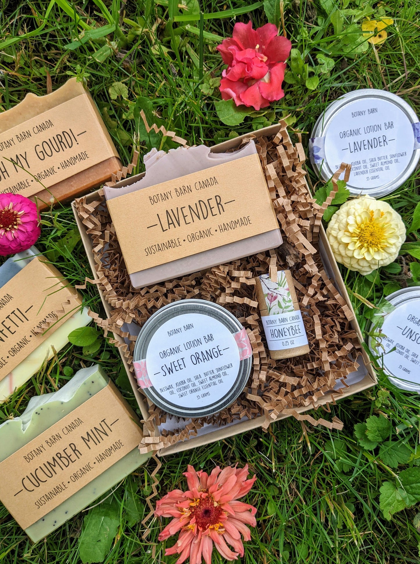 Self Care Gift Set | Organic Soap, Eco Friendly Lip Balm and Organic Lotion Bar