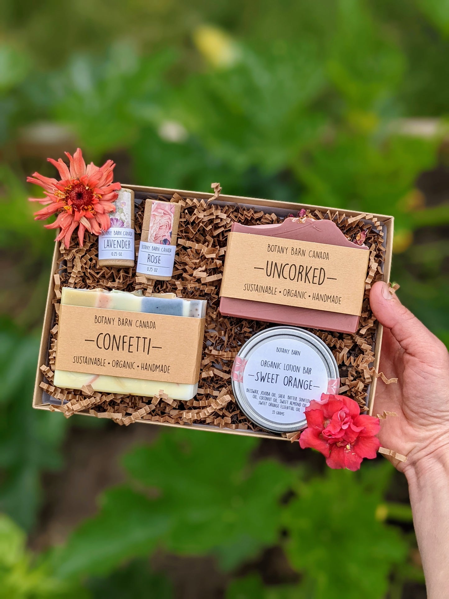 Natural Gift Box | 2 Artisan Soaps, 2 Zero Waste Lip Balm, 1 Organic Lotion Bar