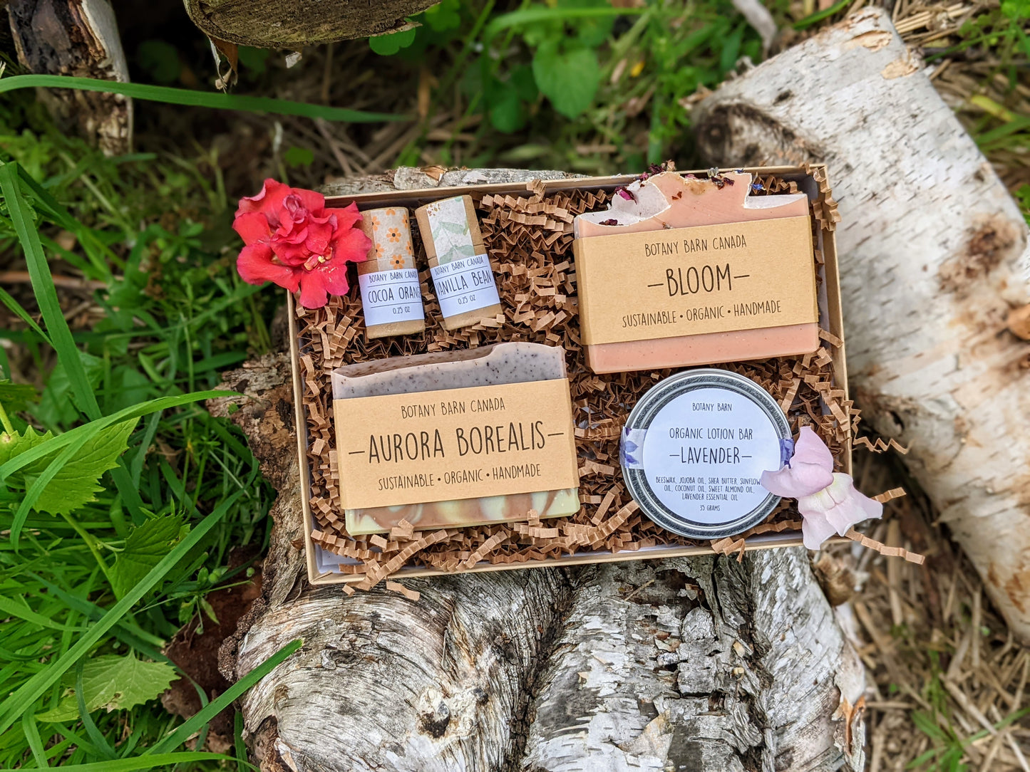 Natural Gift Box | 2 Artisan Soaps, 2 Zero Waste Lip Balm, 1 Organic Lotion Bar