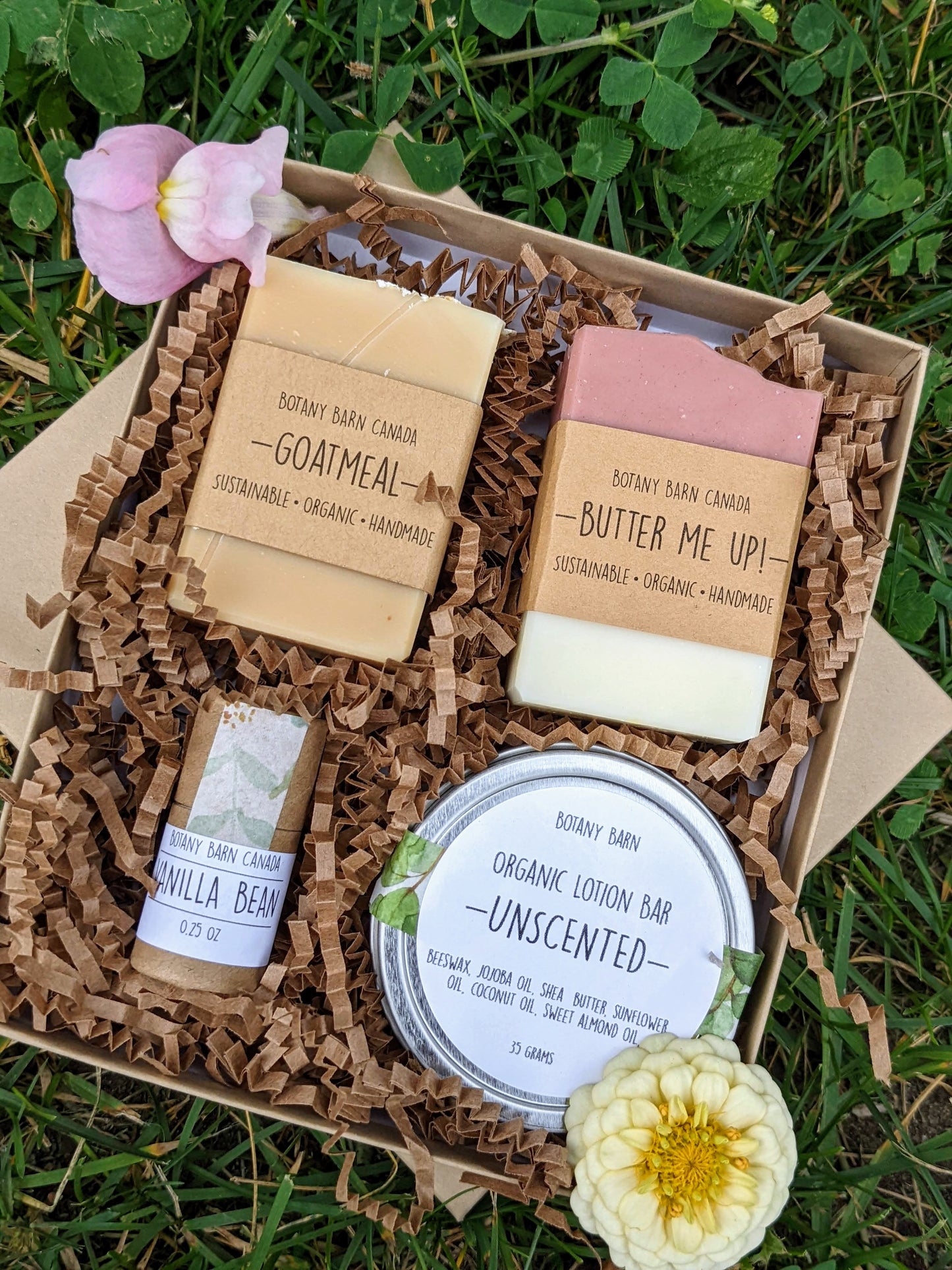 Bath & Body Gift | Mini Box with 2 Soaps, Eco Friendly Lip Balm and Organic Lotion Bar