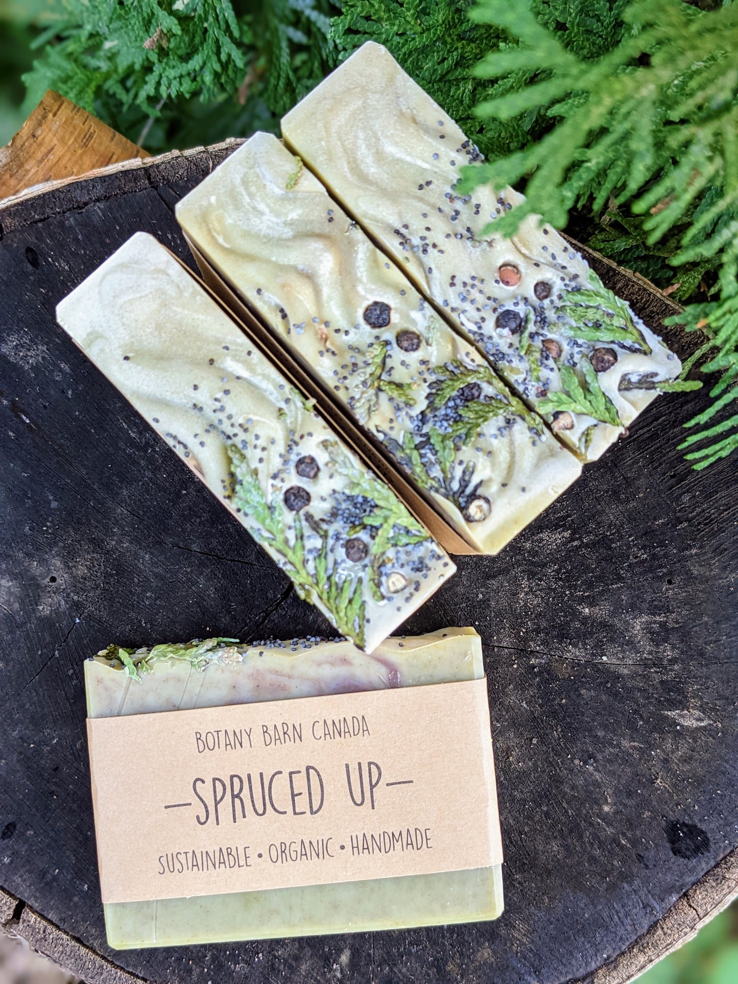 Natural Soap | SPRUCED UP - Black Spruce & Peppermint Soap