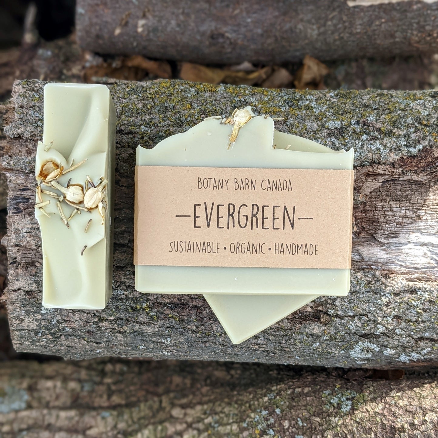 Bars of handmade artisan soap, top and front view. The soap is mint green in colour and is decorated with white and green botanicals on top. A brown label reads the name of the company, Botany Barn Canada and the name of the soap, Evergreen.